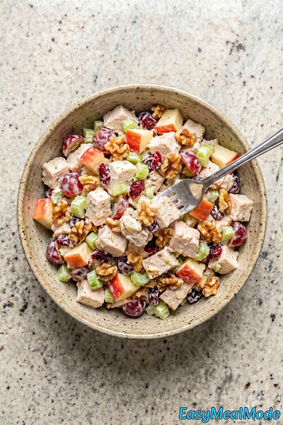 Easy chicken salad with apples and walnuts