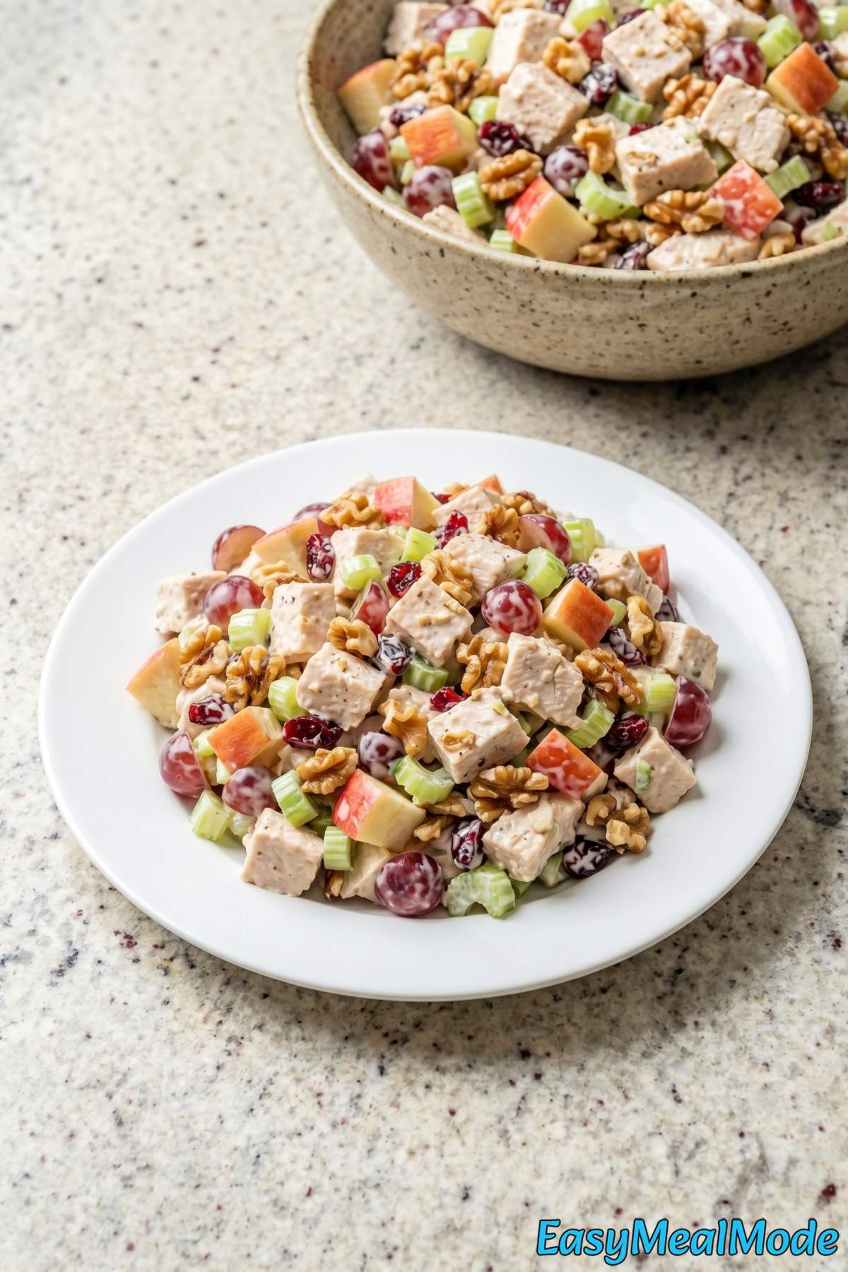 Savory chicken salad with apples & walnuts