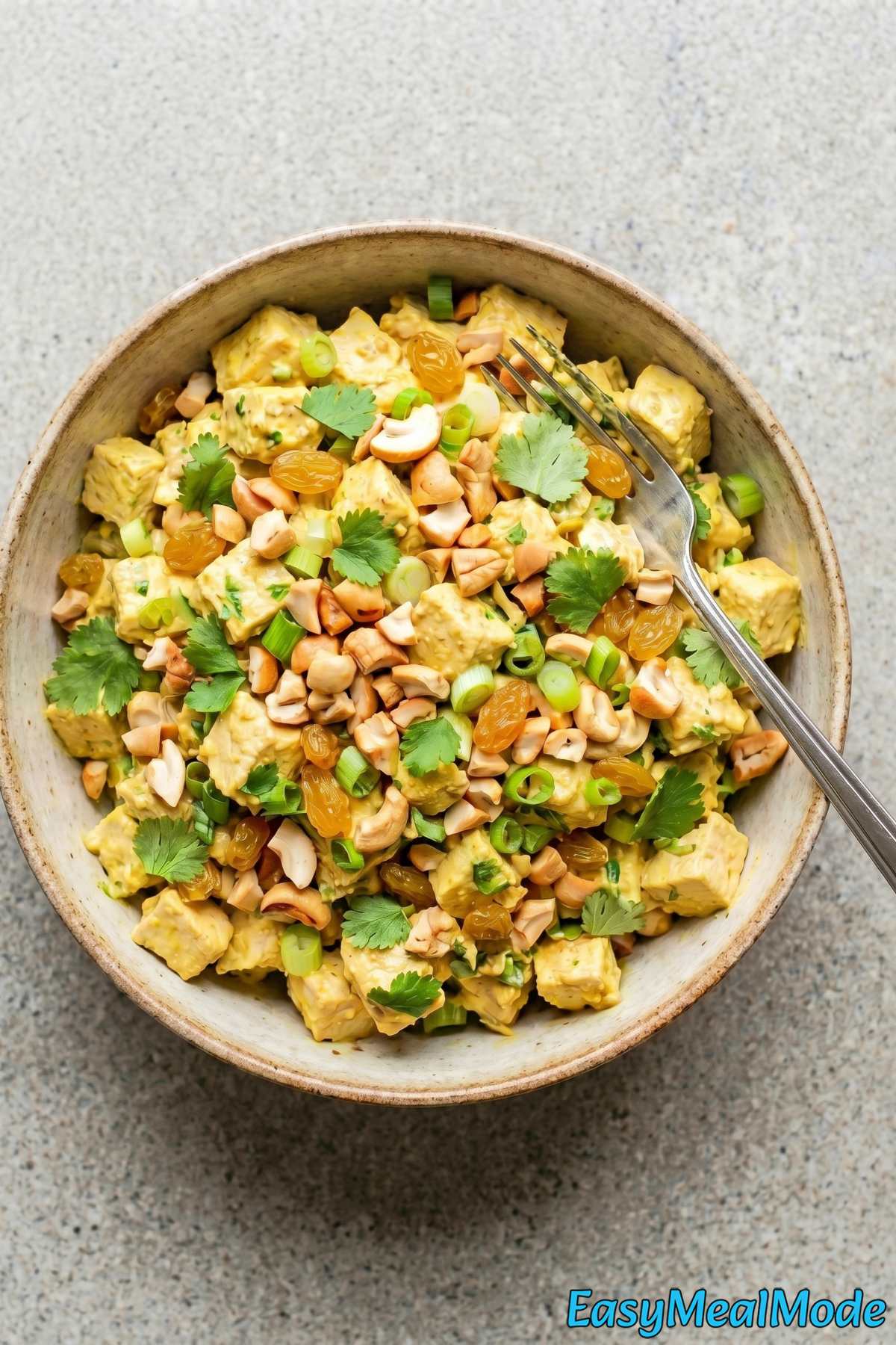 Fresh chicken salad with curry and cashews
