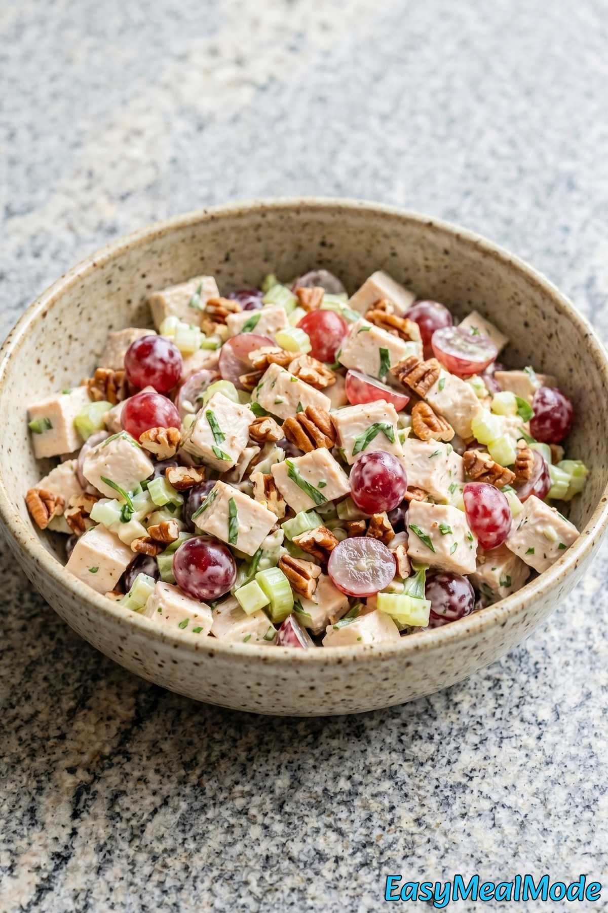 Fresh chicken salad with grapes and pecans
