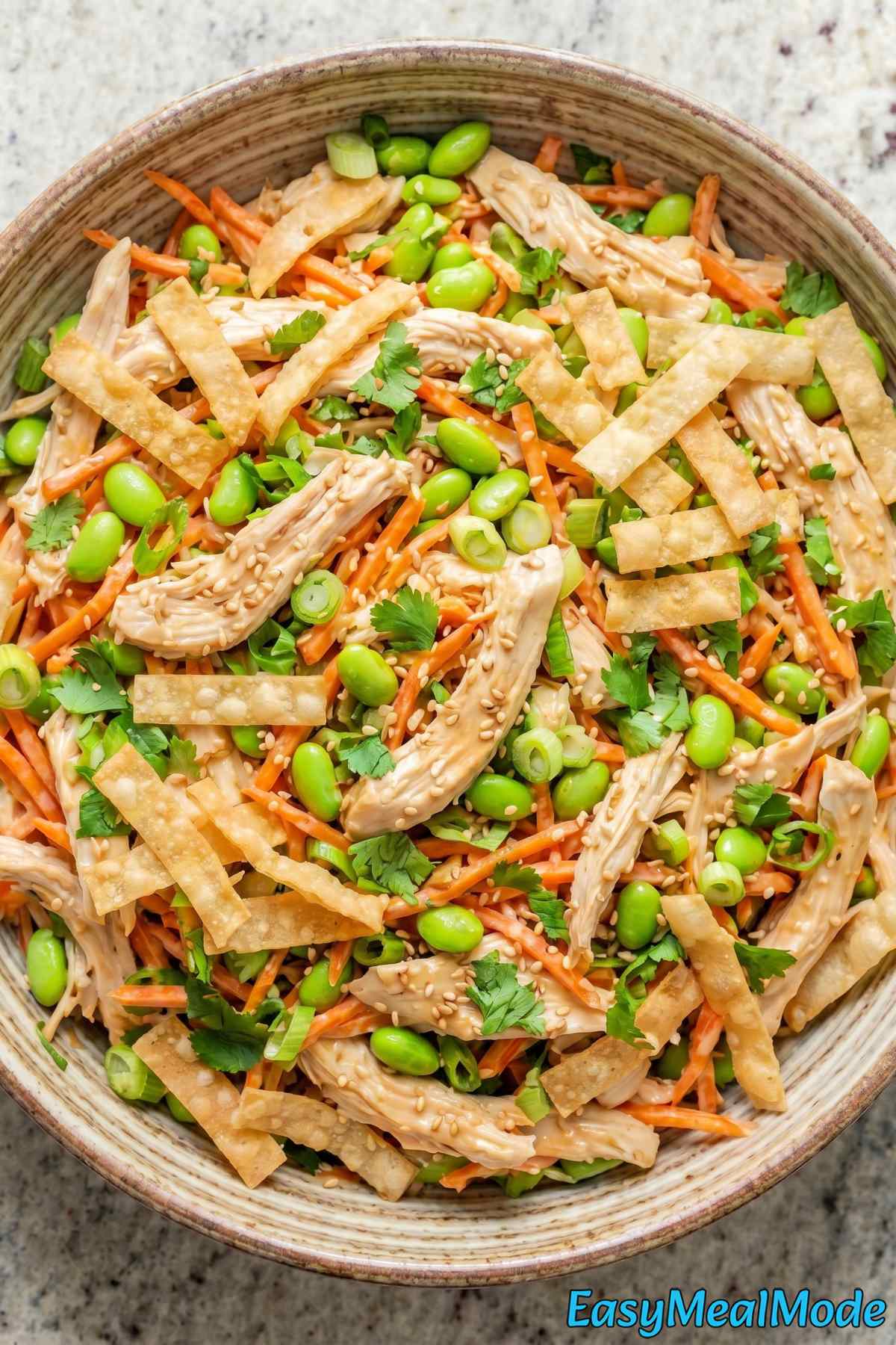 Savory sesame ginger chicken salad plate