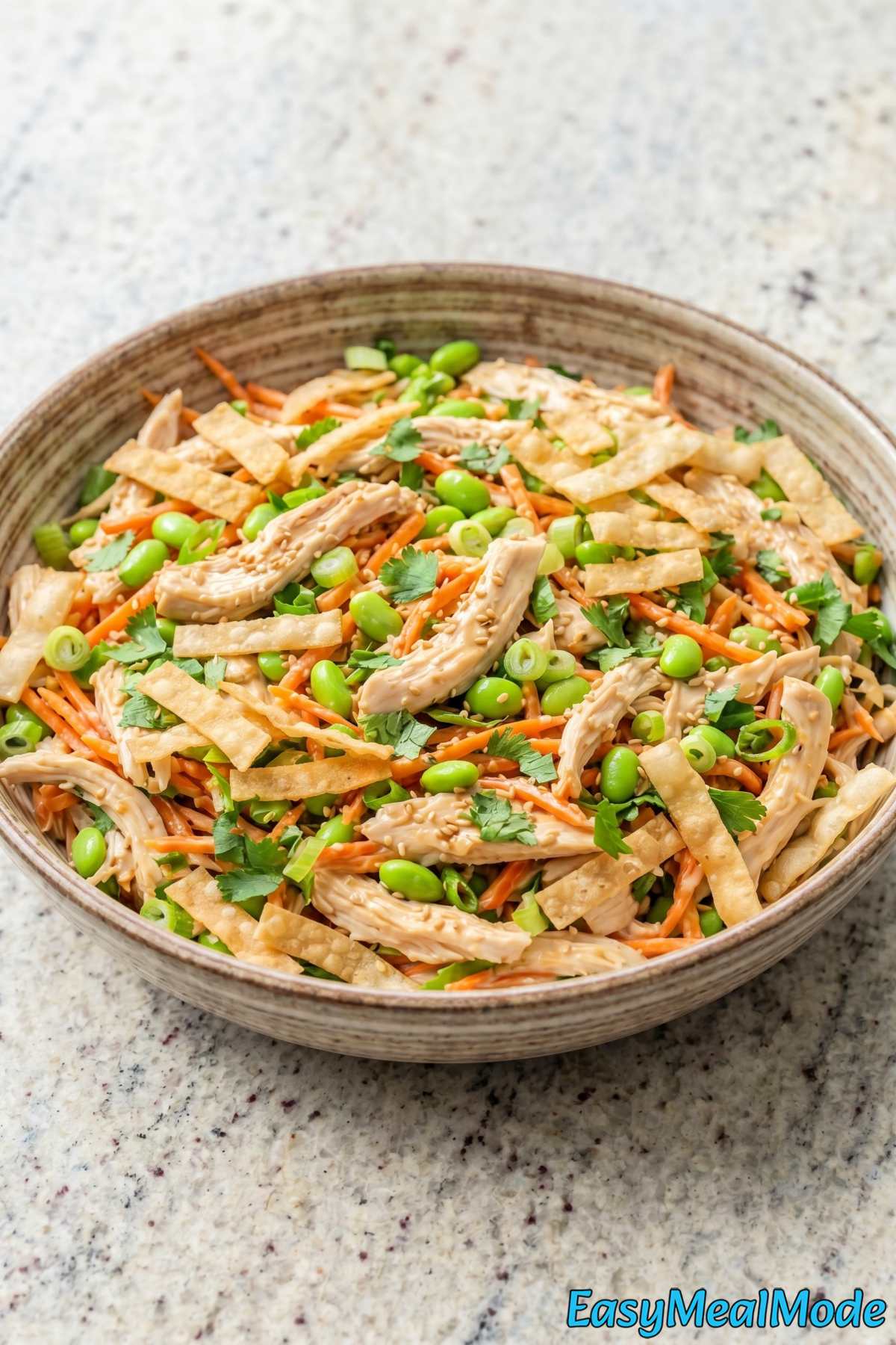 Aromatic chicken salad with ginger and sesame