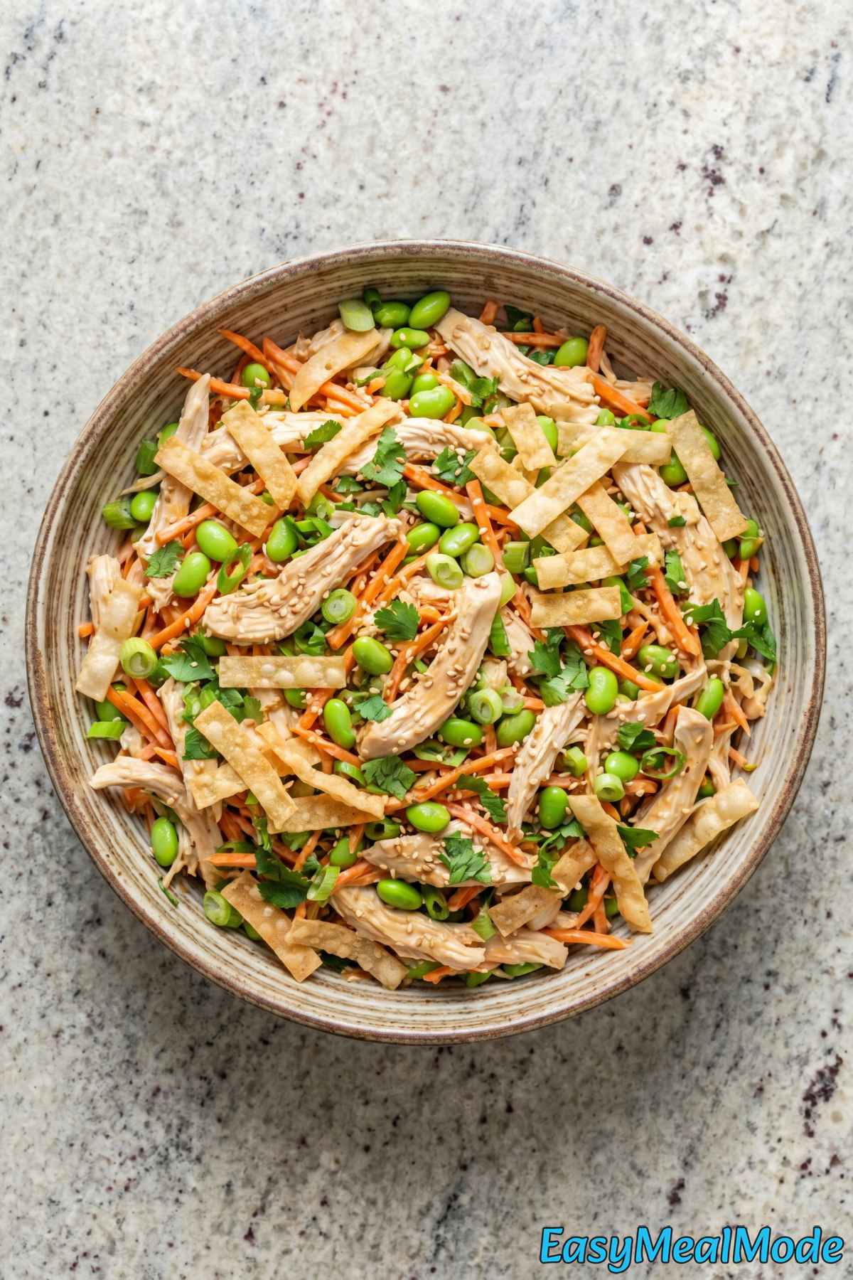 Vibrant chicken salad with sesame & ginger