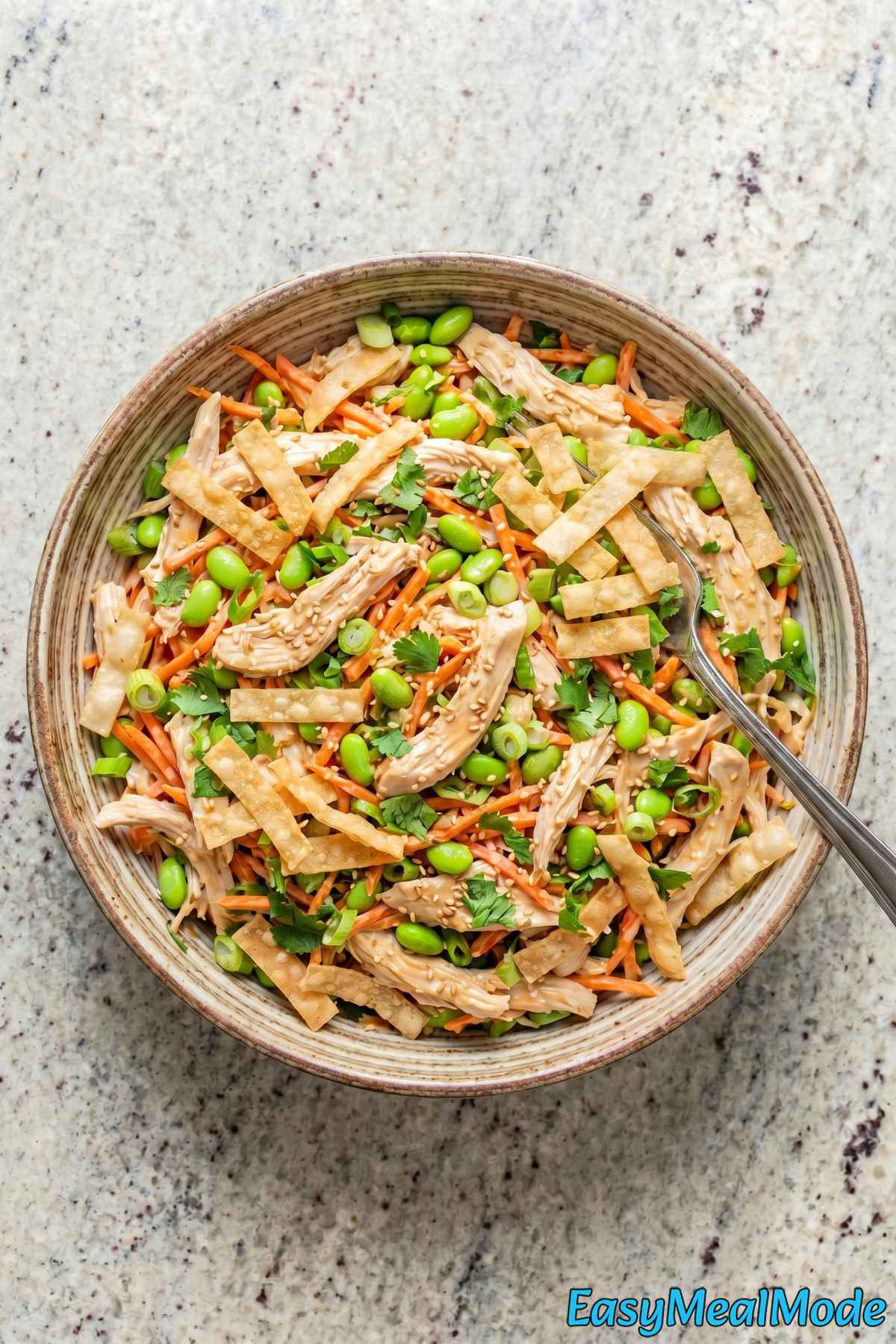 Wholesome chicken salad with sesame & ginger