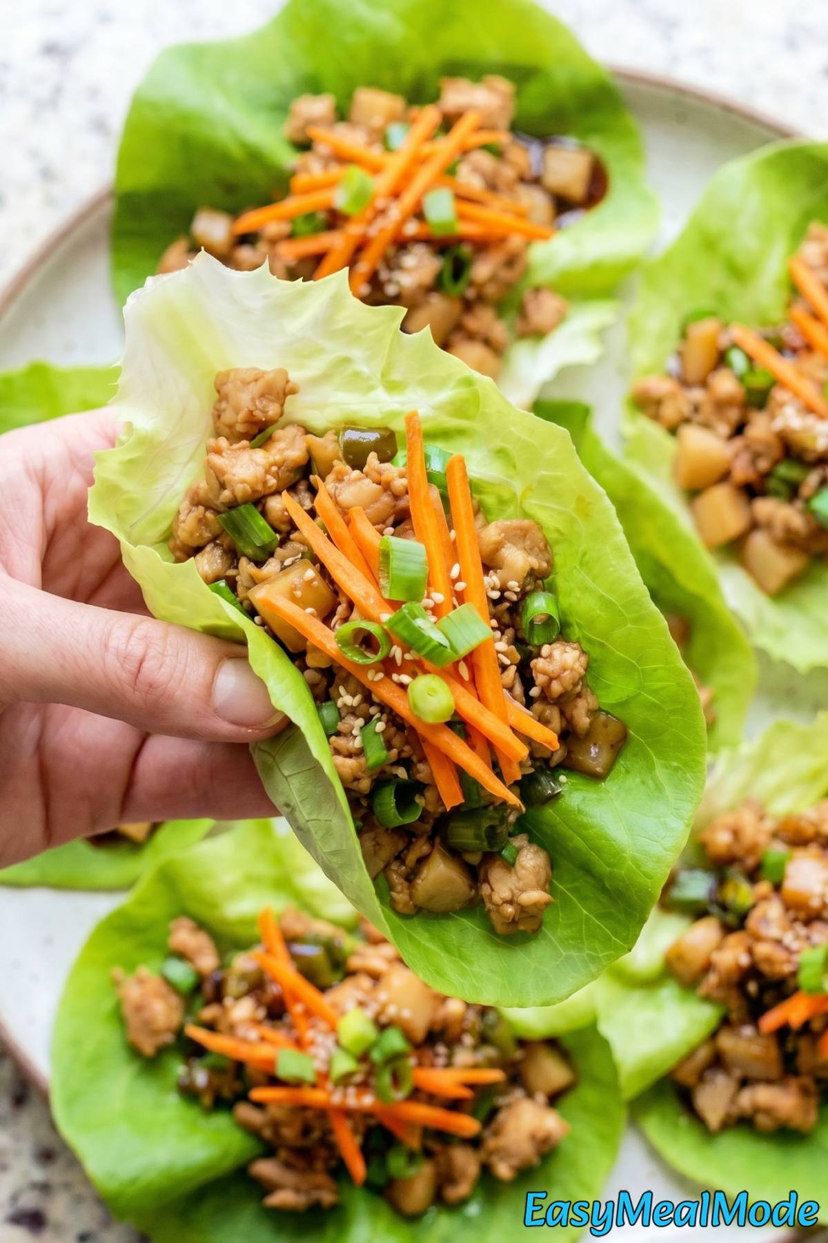 Easy high protein chicken lettuce wraps