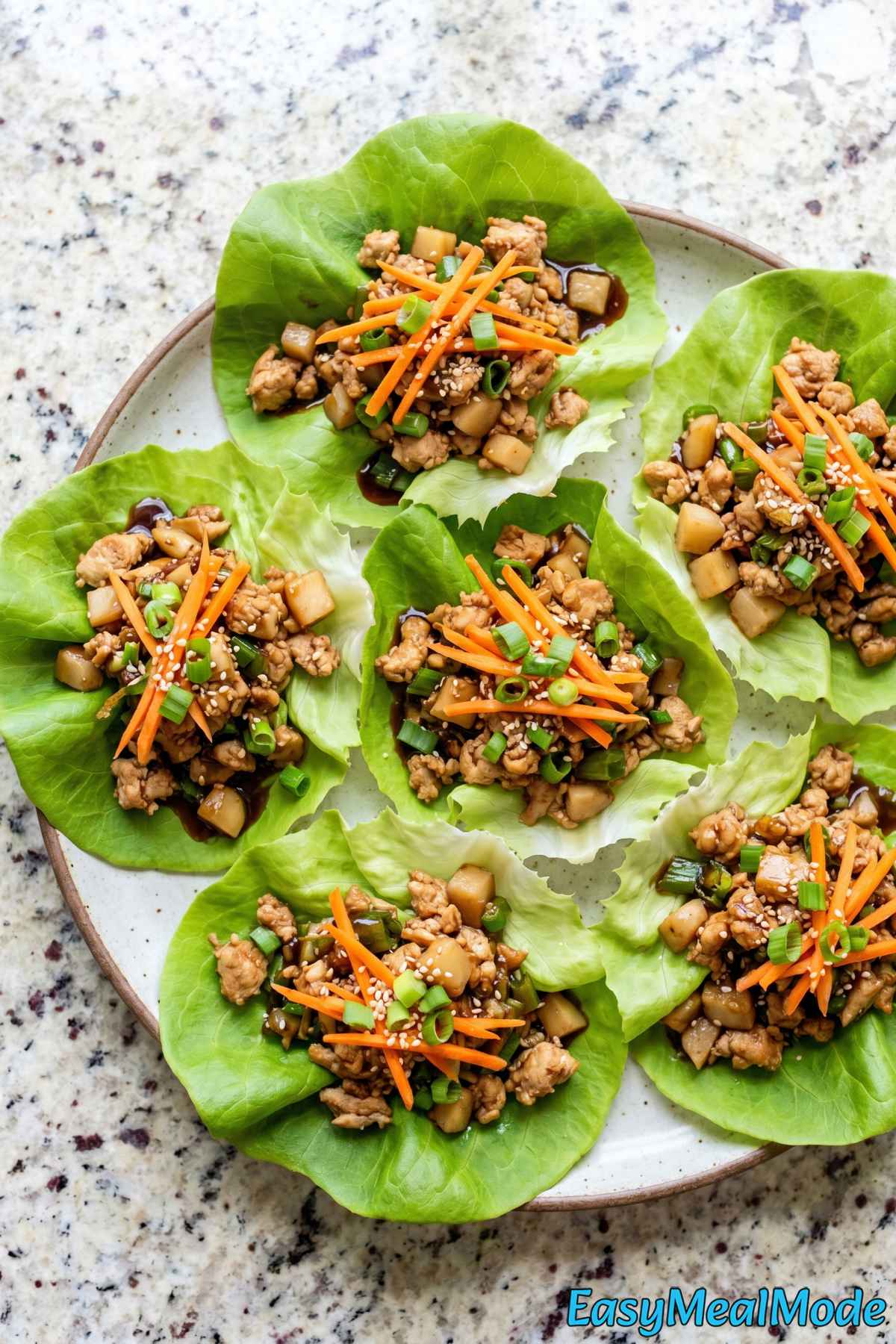 Flavorful high protein chicken lettuce wraps