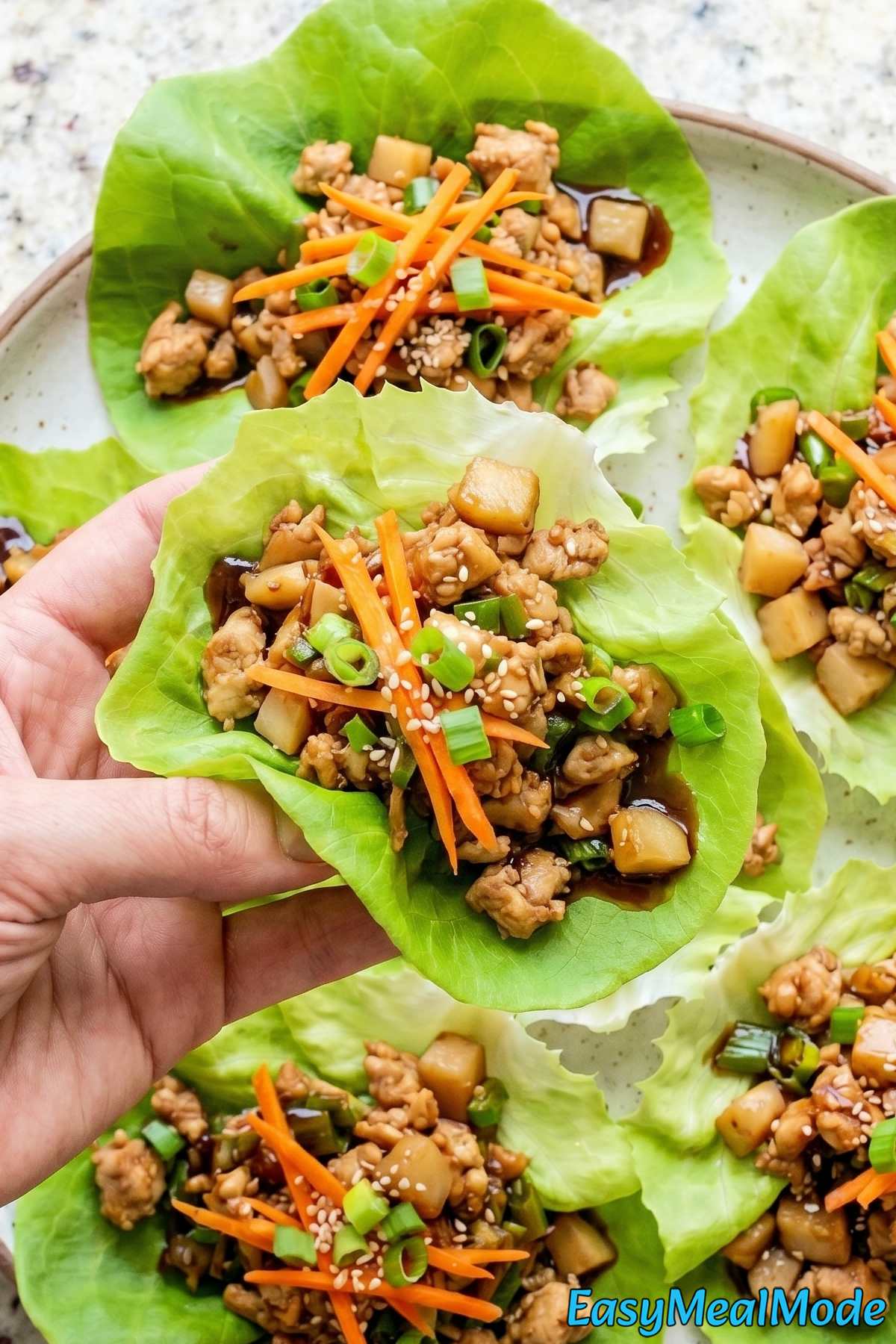 Tender high protein chicken lettuce wraps