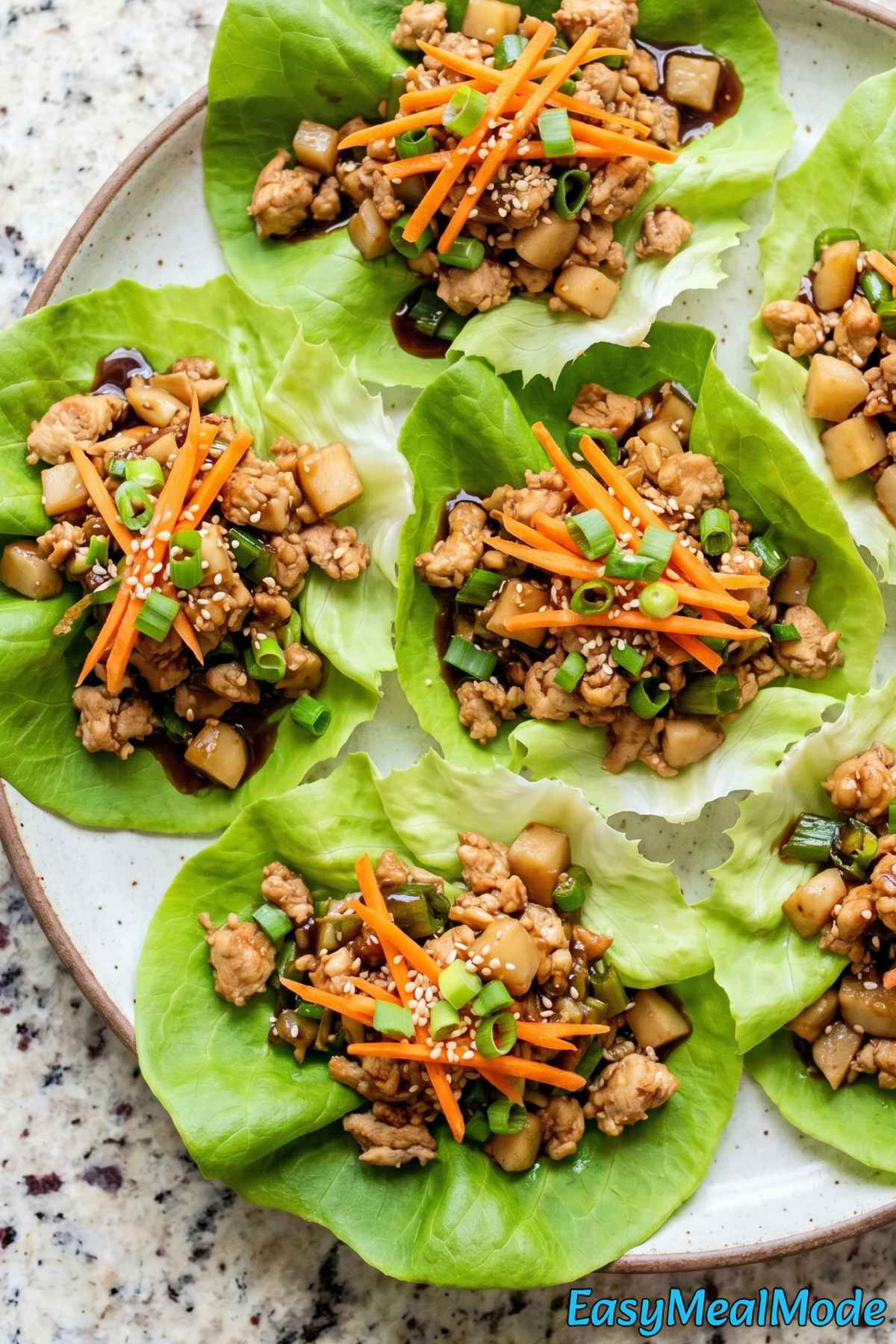 Light high protein chicken lettuce wraps