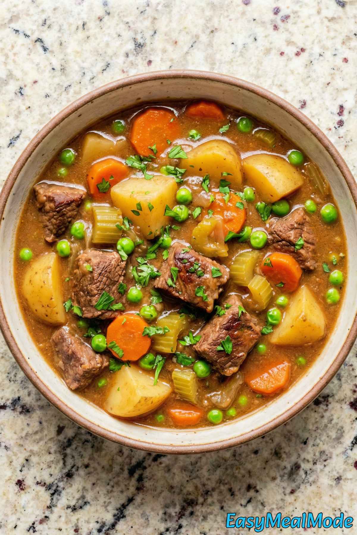 Chunky Instant Pot beef stew in a dish