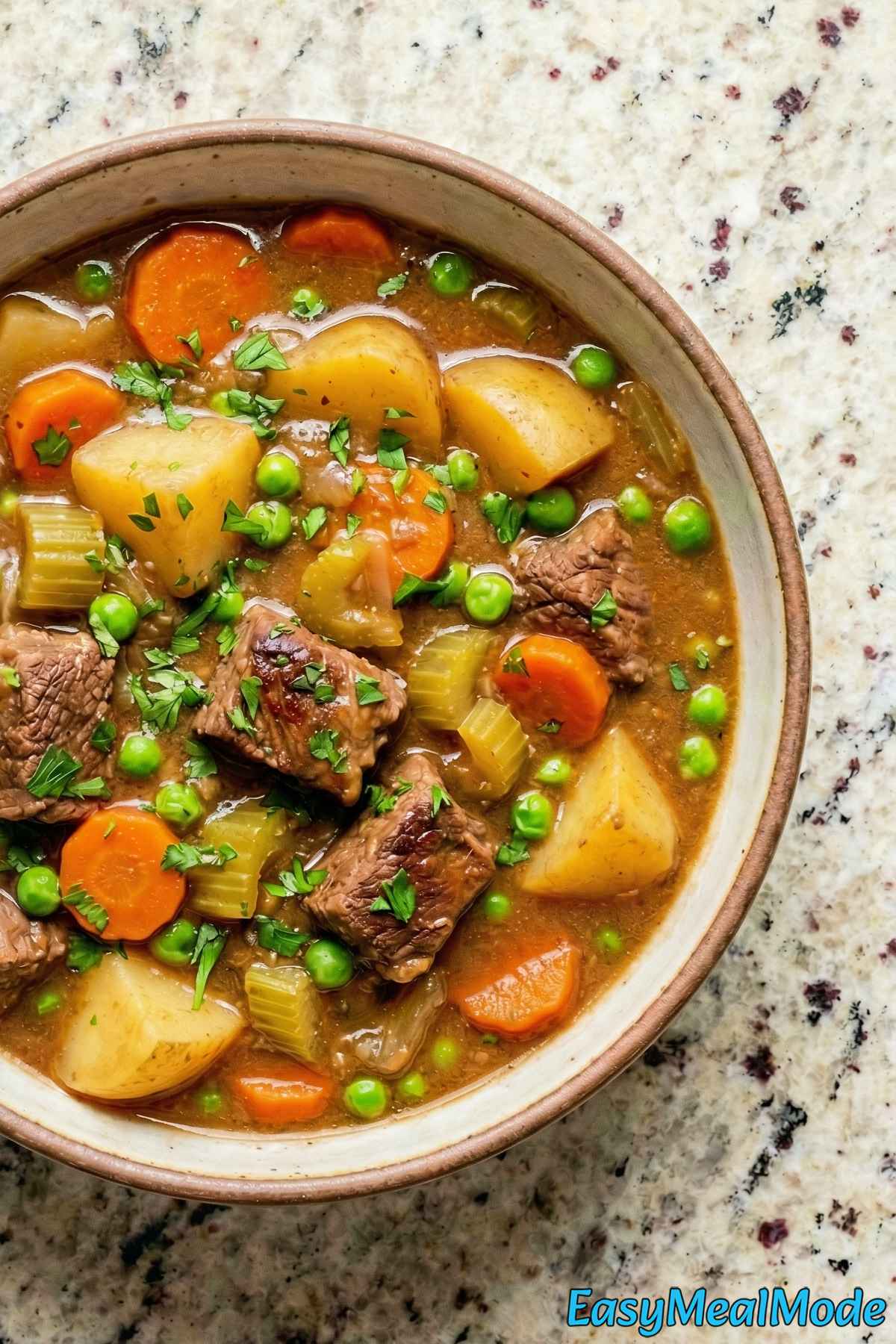 Comforting Instant Pot beef stew served warm