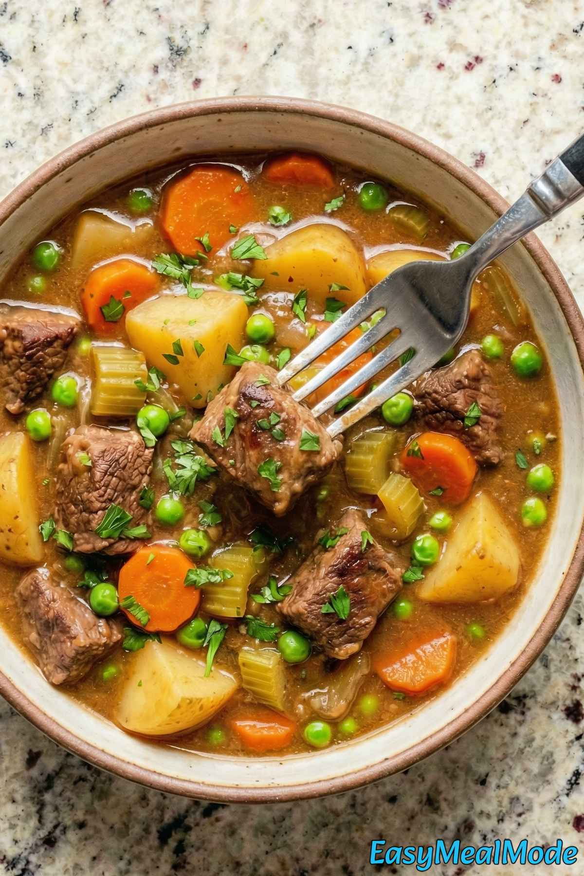 Savory Instant Pot beef stew ready to eat