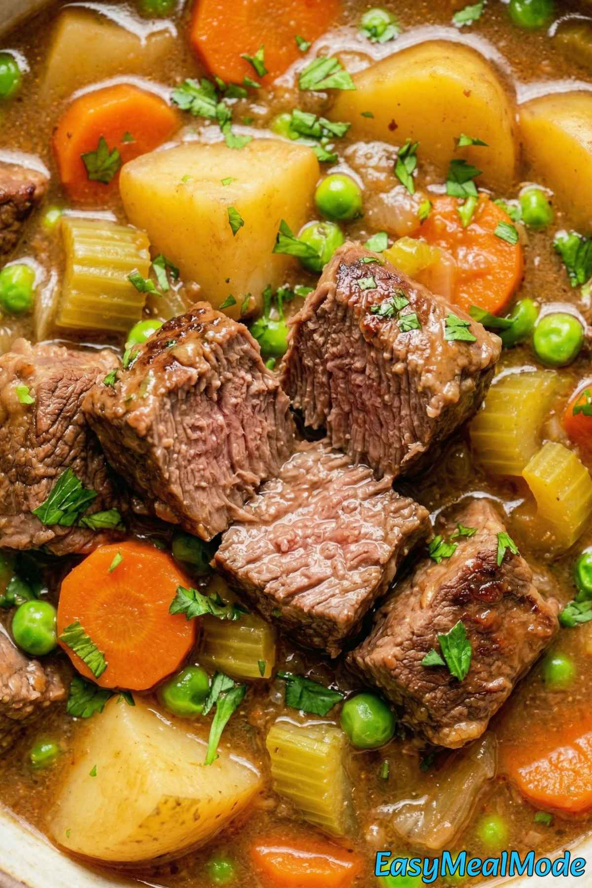 Wholesome Instant Pot beef stew dinner