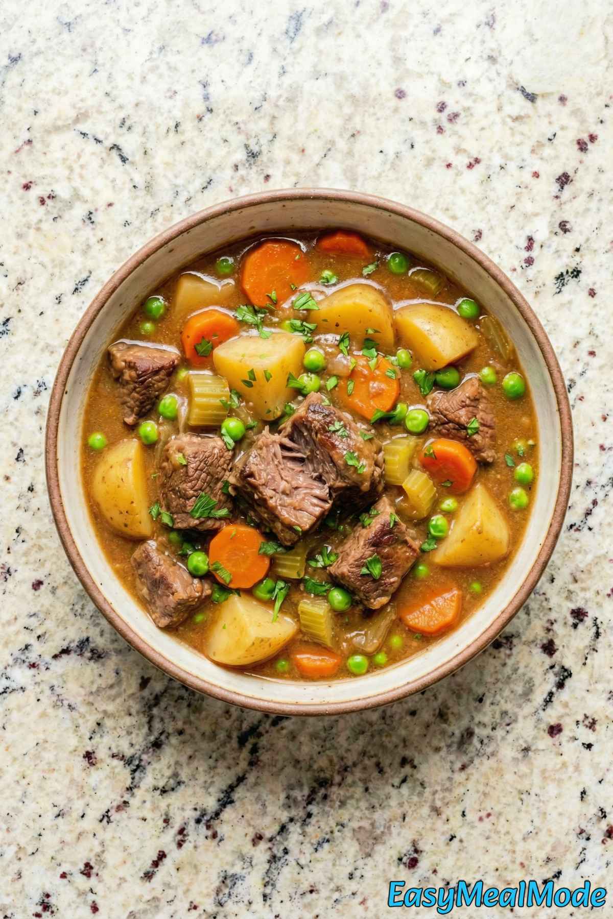 Rustic Instant Pot beef stew with potatoes