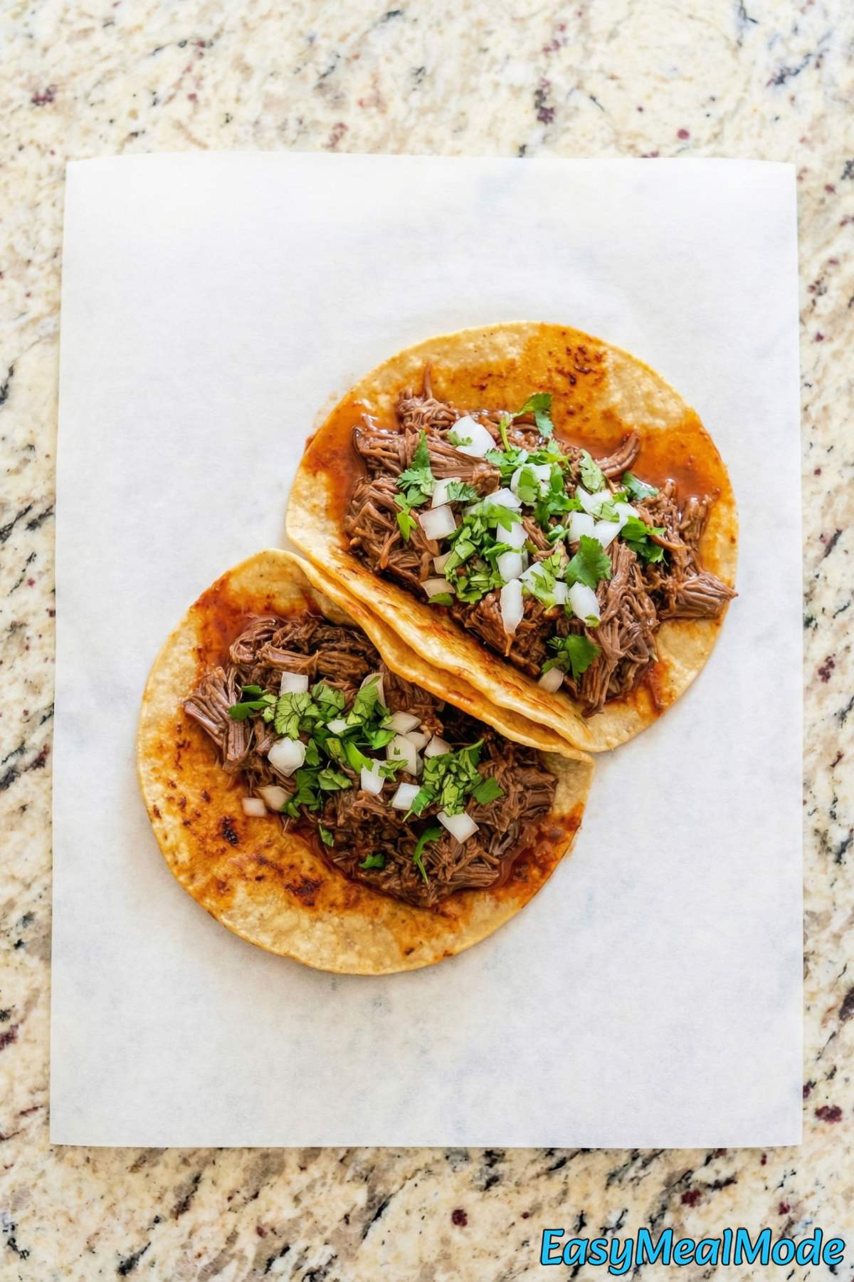 Hearty Instant Pot birria tacos served warm