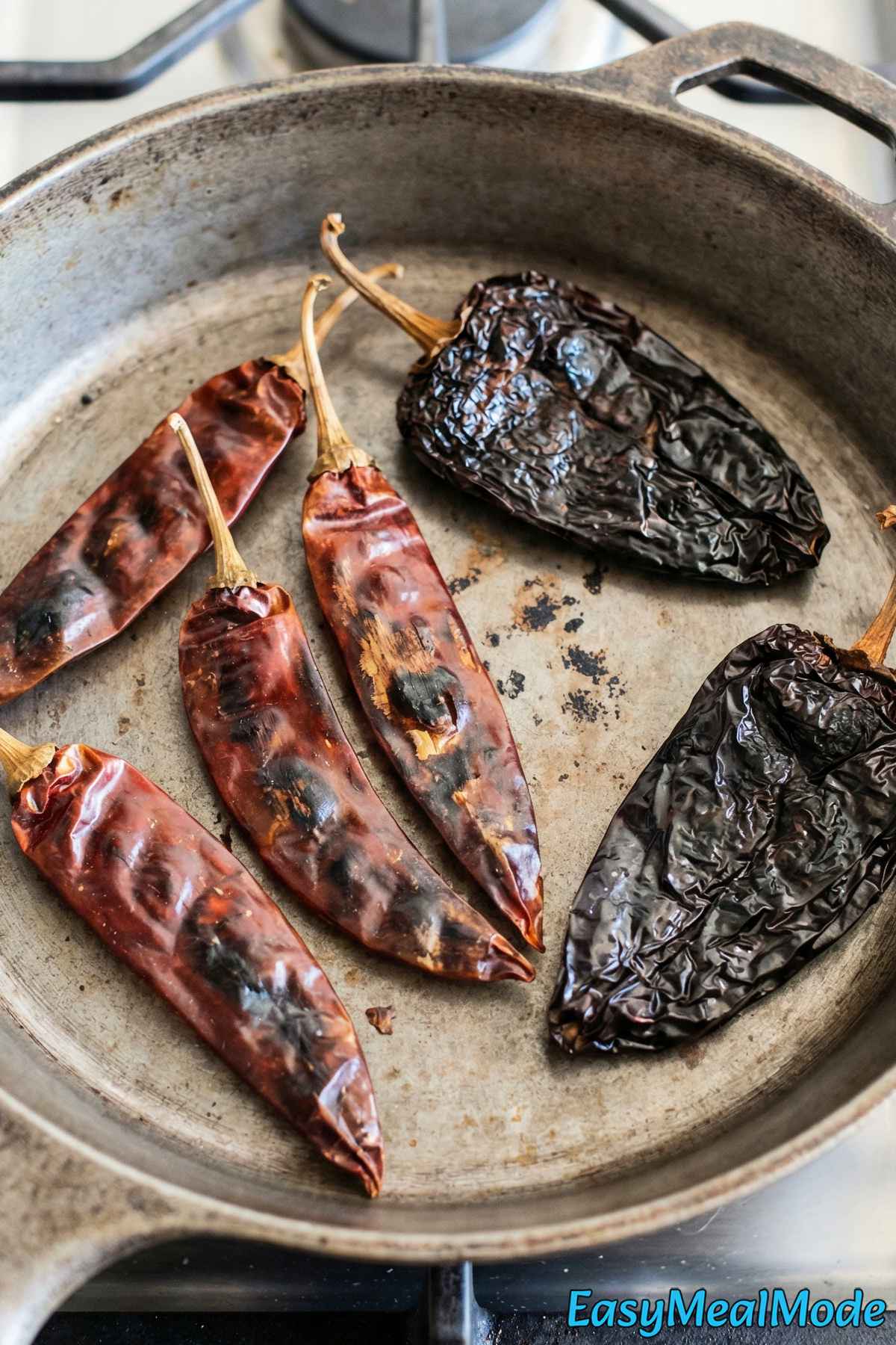 Instant Pot Birria Tacos Step 1