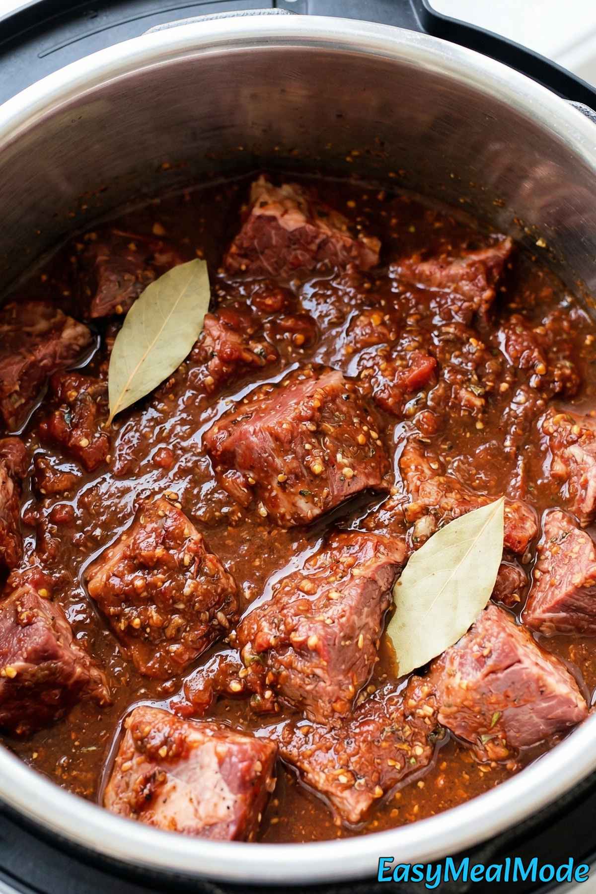 Instant Pot Birria Tacos Step 3