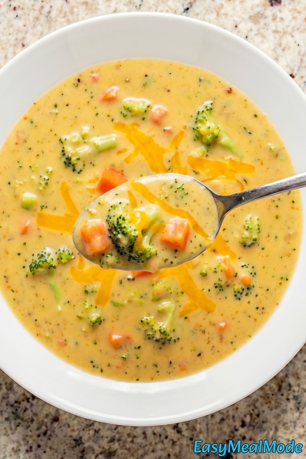 Comforting Instant Pot Broccoli Cheddar Soup