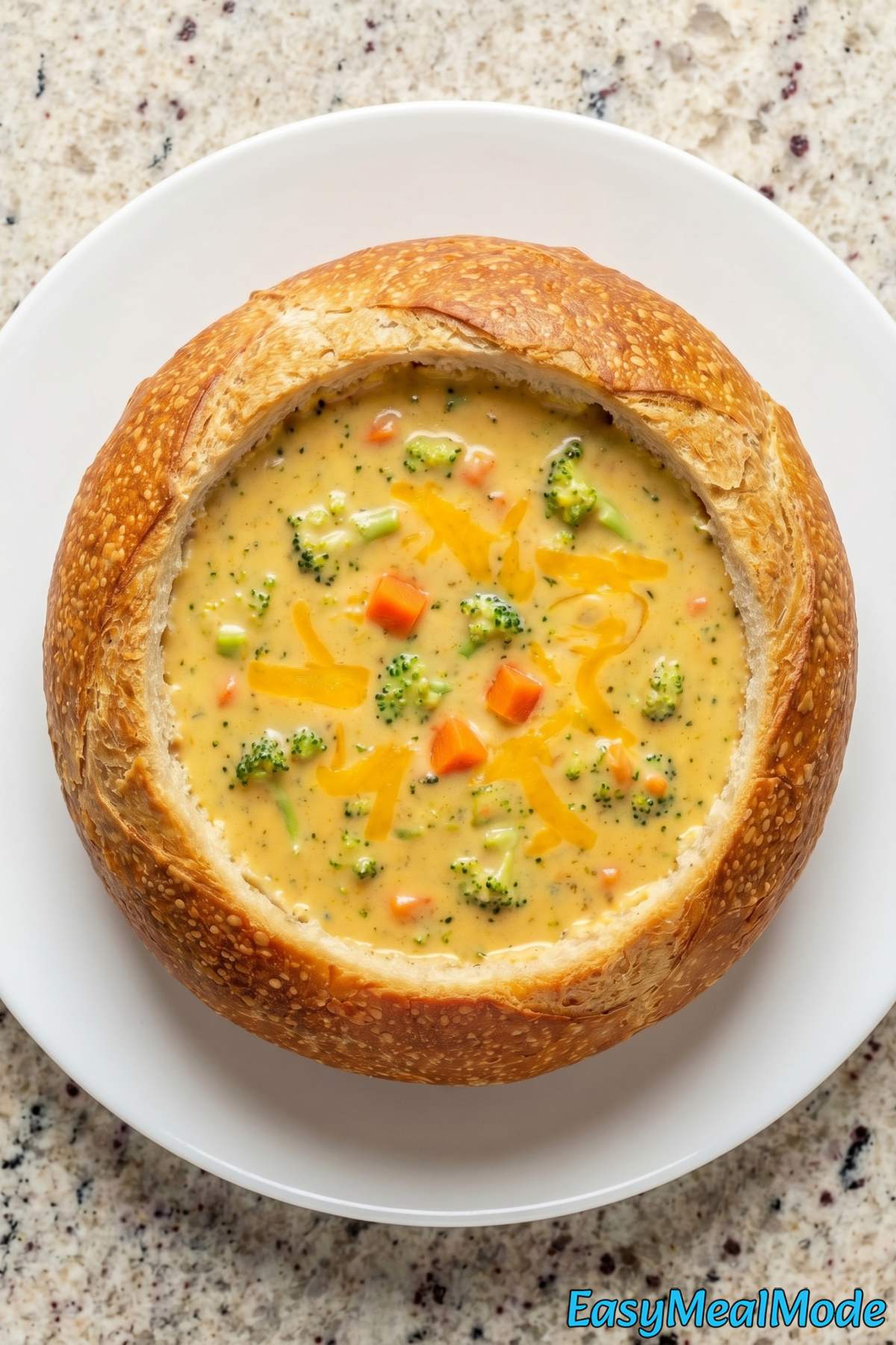 Savory Instant Pot Broccoli Cheddar Soup