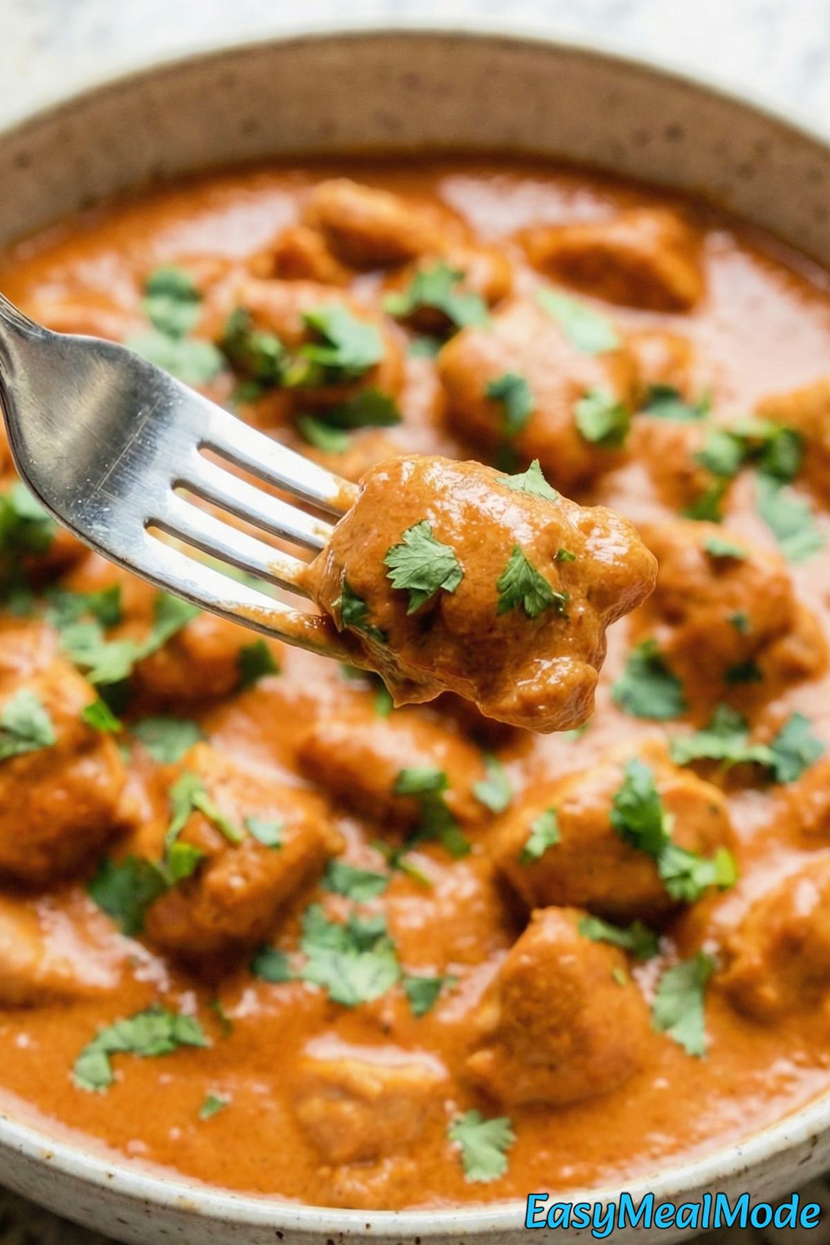 Homemade Instant Pot butter chicken