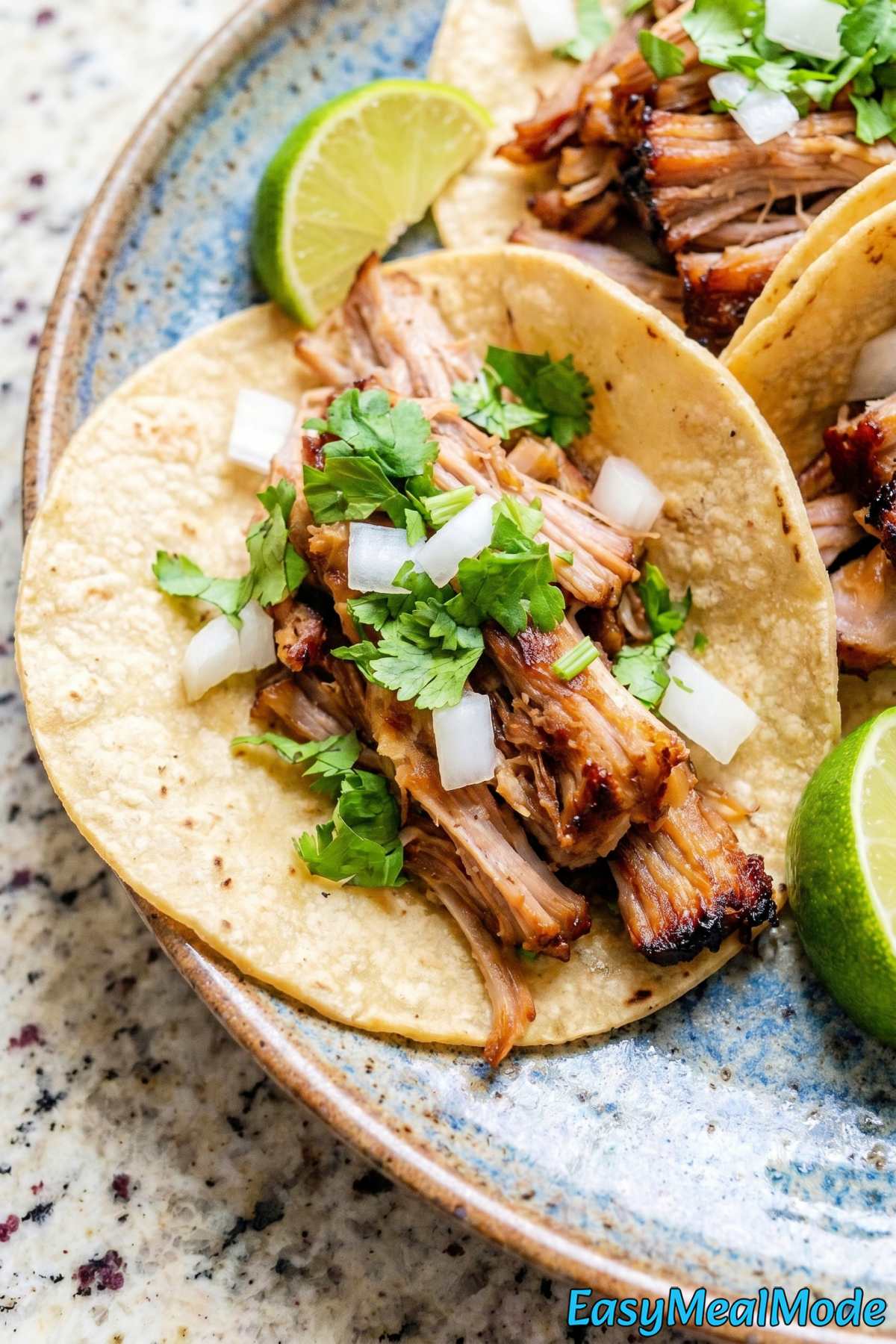 Flavorful Instant Pot carnitas close up
