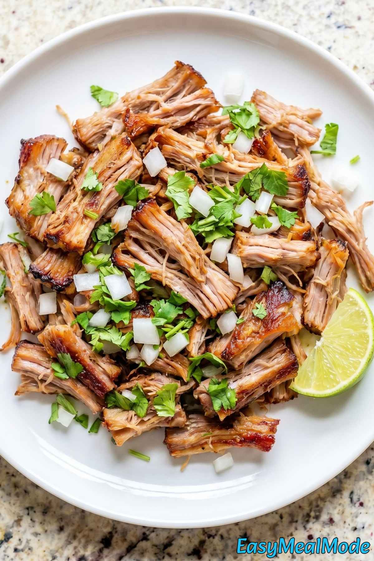 Crispy Instant Pot carnitas ready to serve