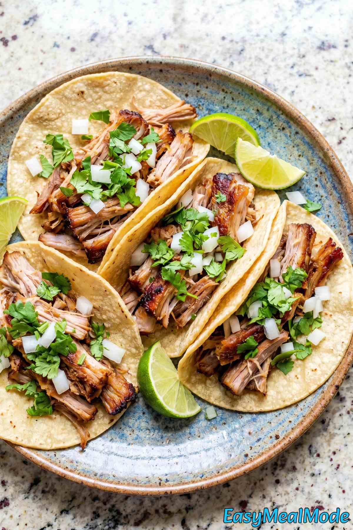 Hearty Instant Pot carnitas on a platter