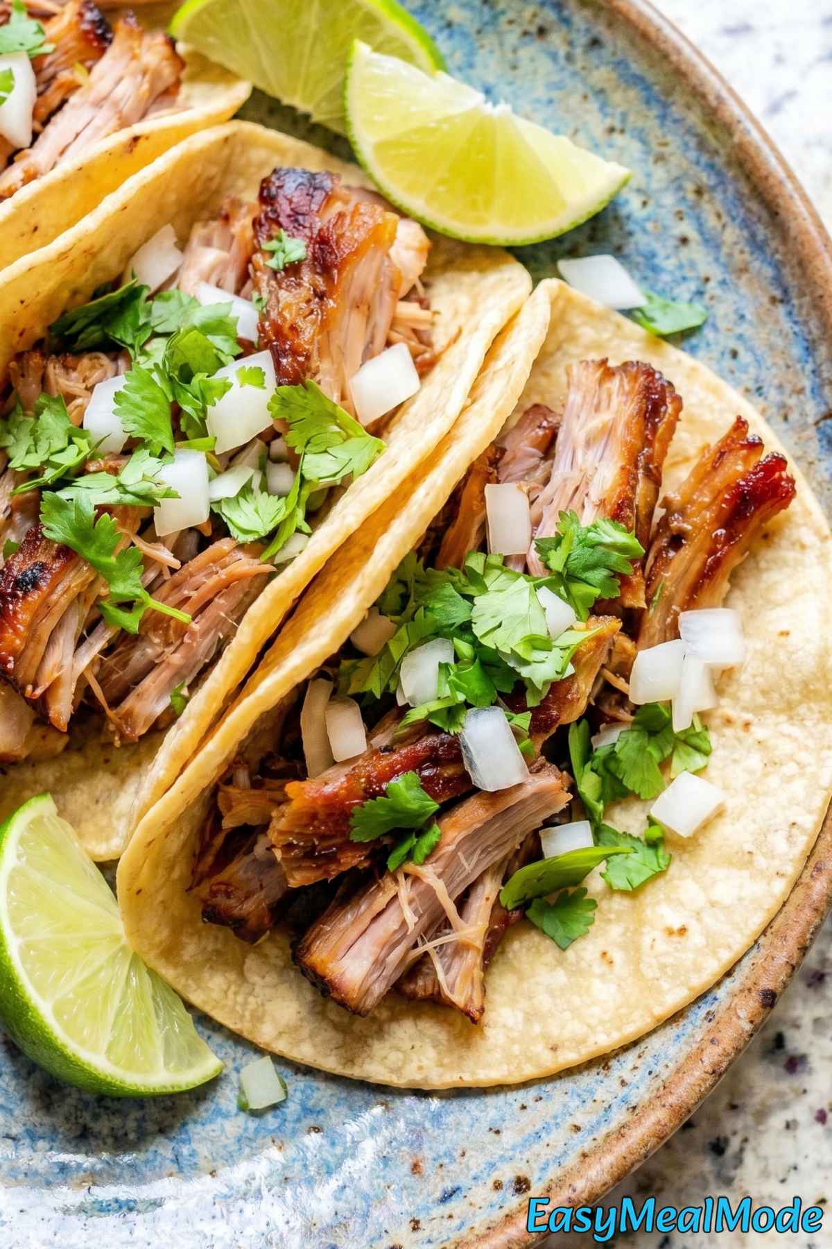 Rustic Instant Pot carnitas with crispy bits