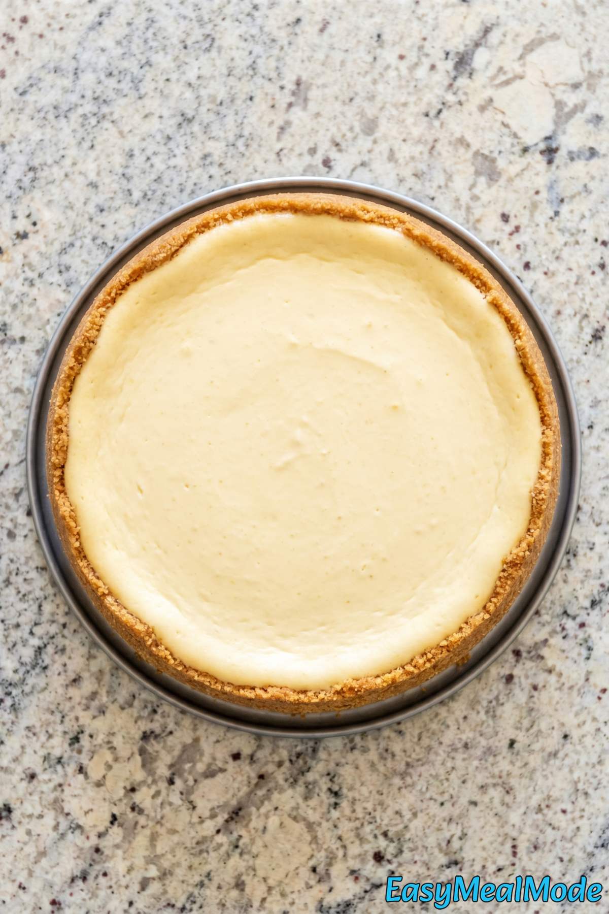 Luscious Instant Pot cheesecake wedge