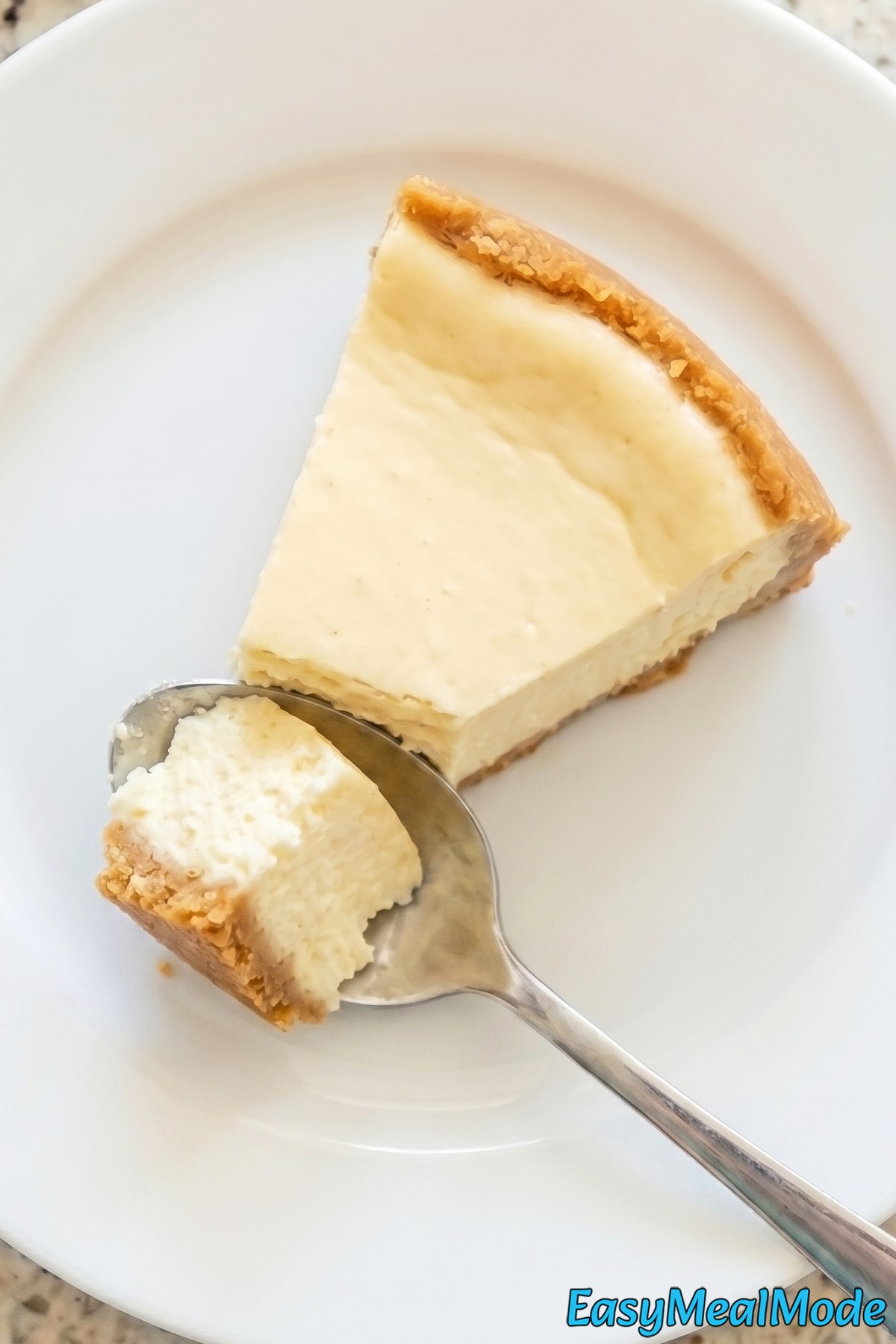 Silky Instant Pot cheesecake on display