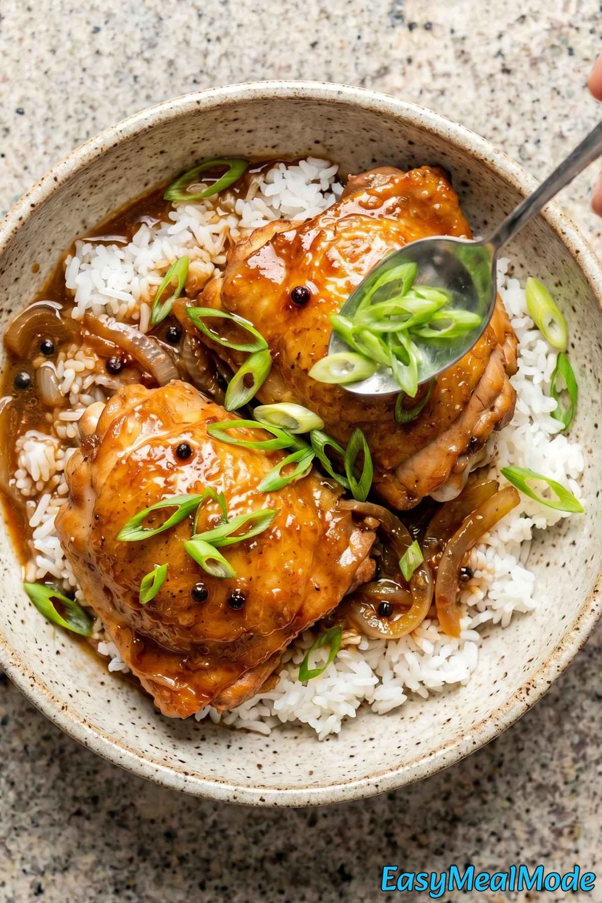 Rich Instant Pot Chicken Adobo dinner