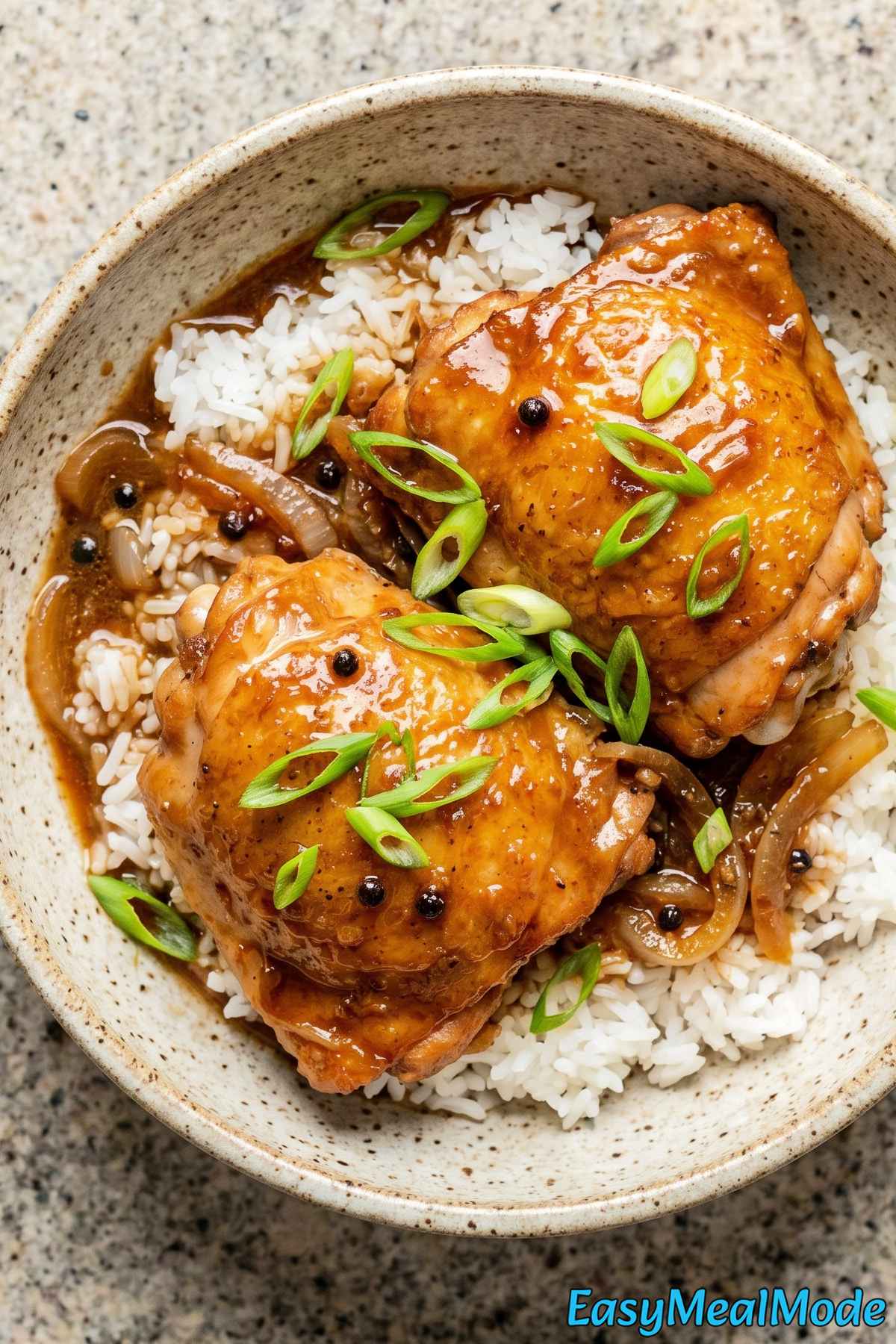 Savory Instant Pot Chicken Adobo plate