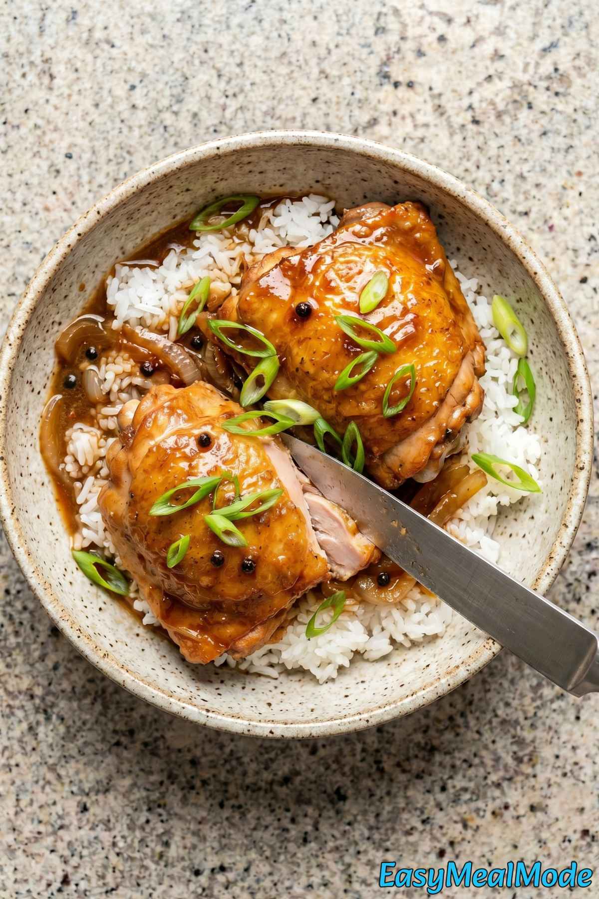 Hearty Instant Pot Chicken Adobo meal