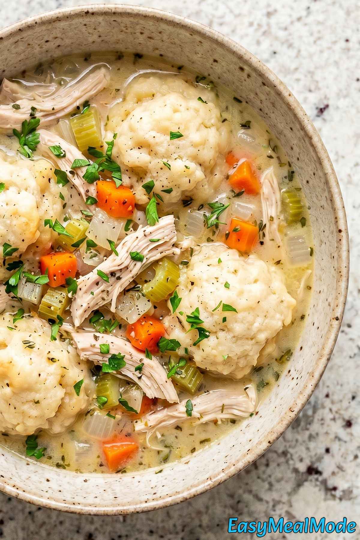 Warm Instant Pot Chicken & Dumplings served