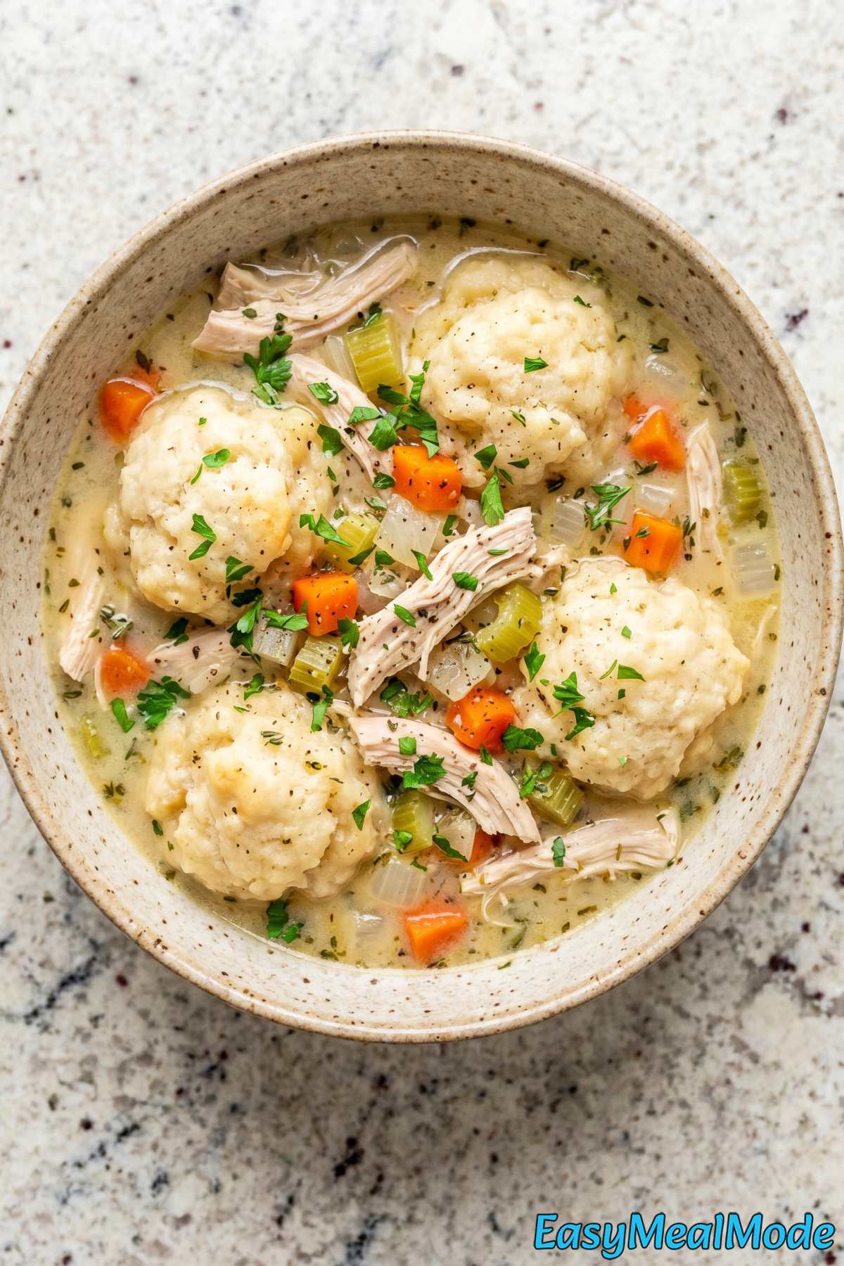 Savory Instant Pot Chicken and Dumplings
