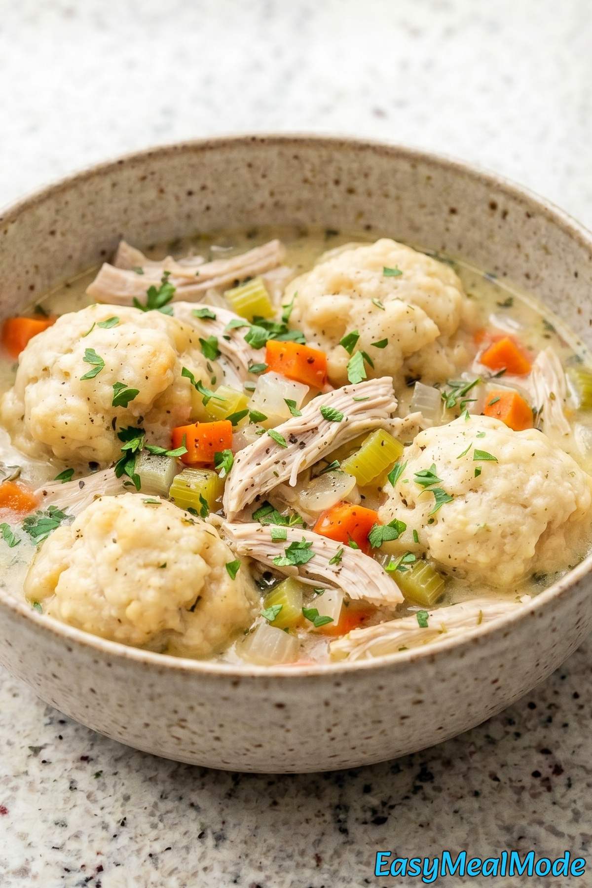 Rich Instant Pot Chicken & Dumplings closeup