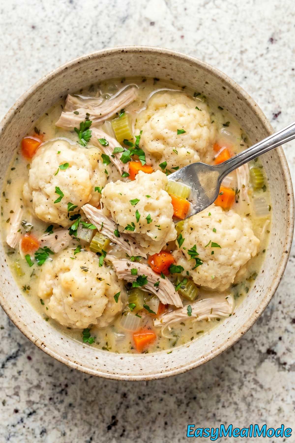 Fluffy Instant Pot Chicken & Dumplings