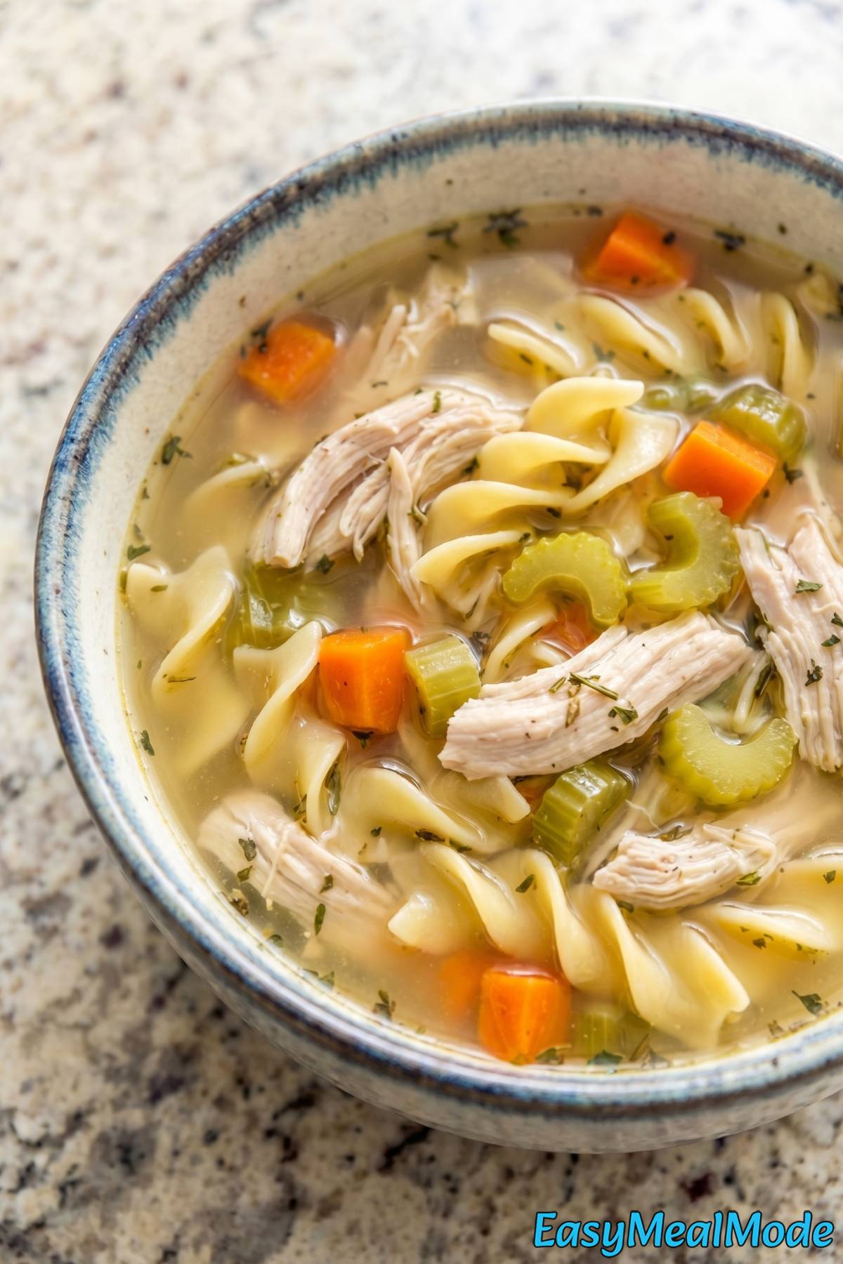 Savory Instant Pot chicken noodle soup