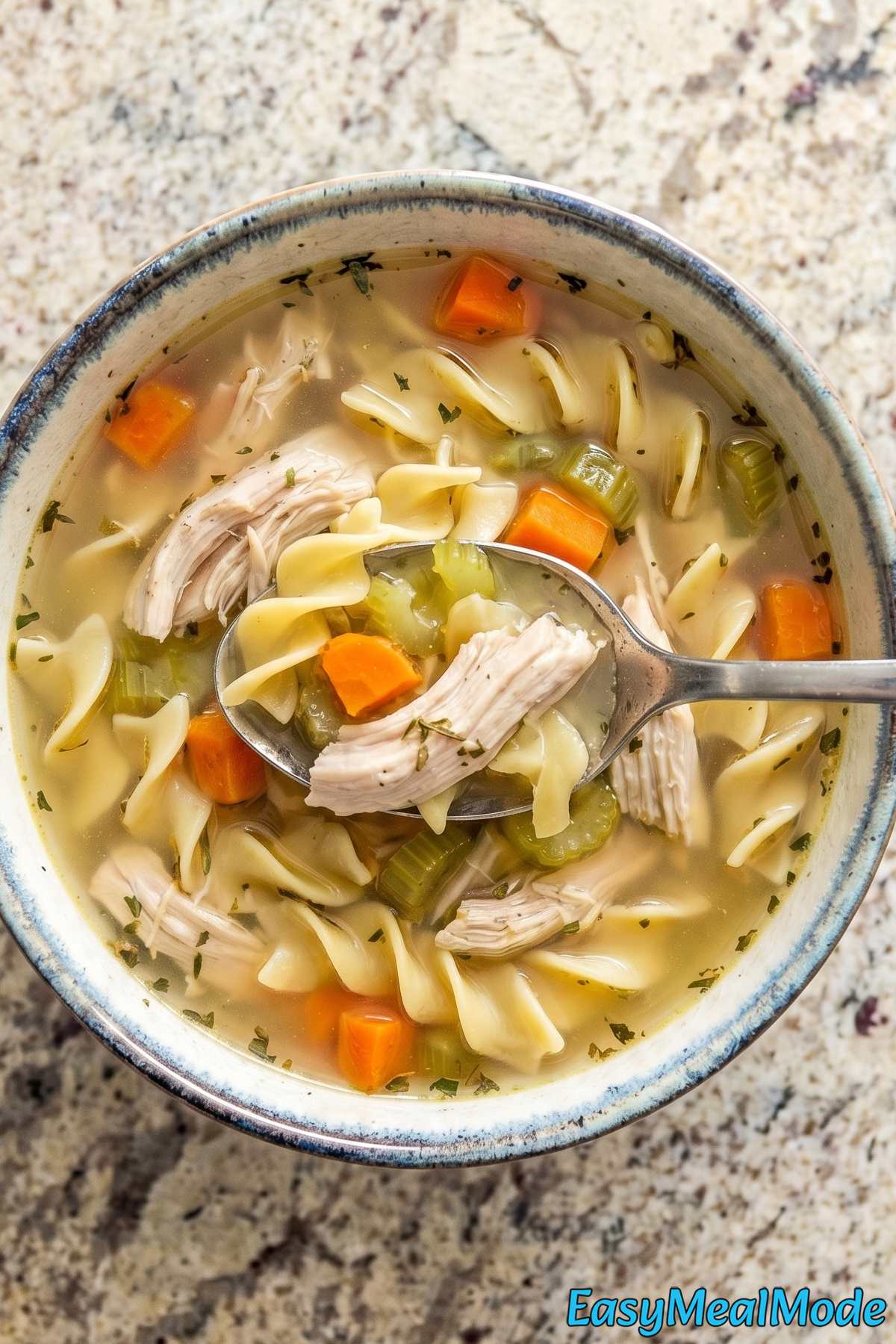 Wholesome Instant Pot chicken noodle soup