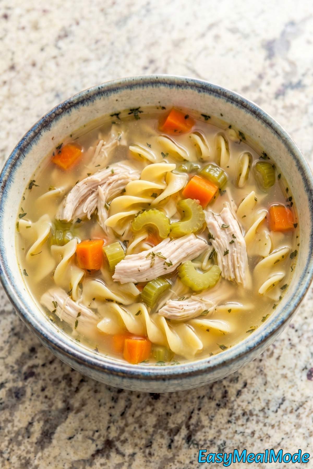 Comforting Instant Pot chicken noodle soup