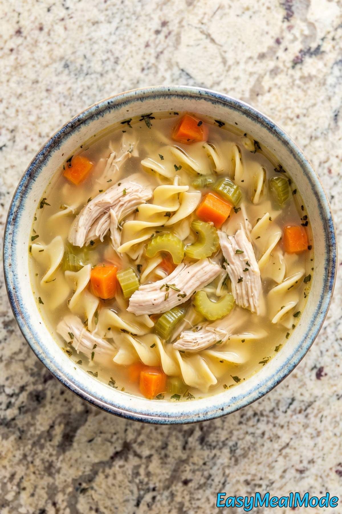 Classic Instant Pot chicken noodle soup