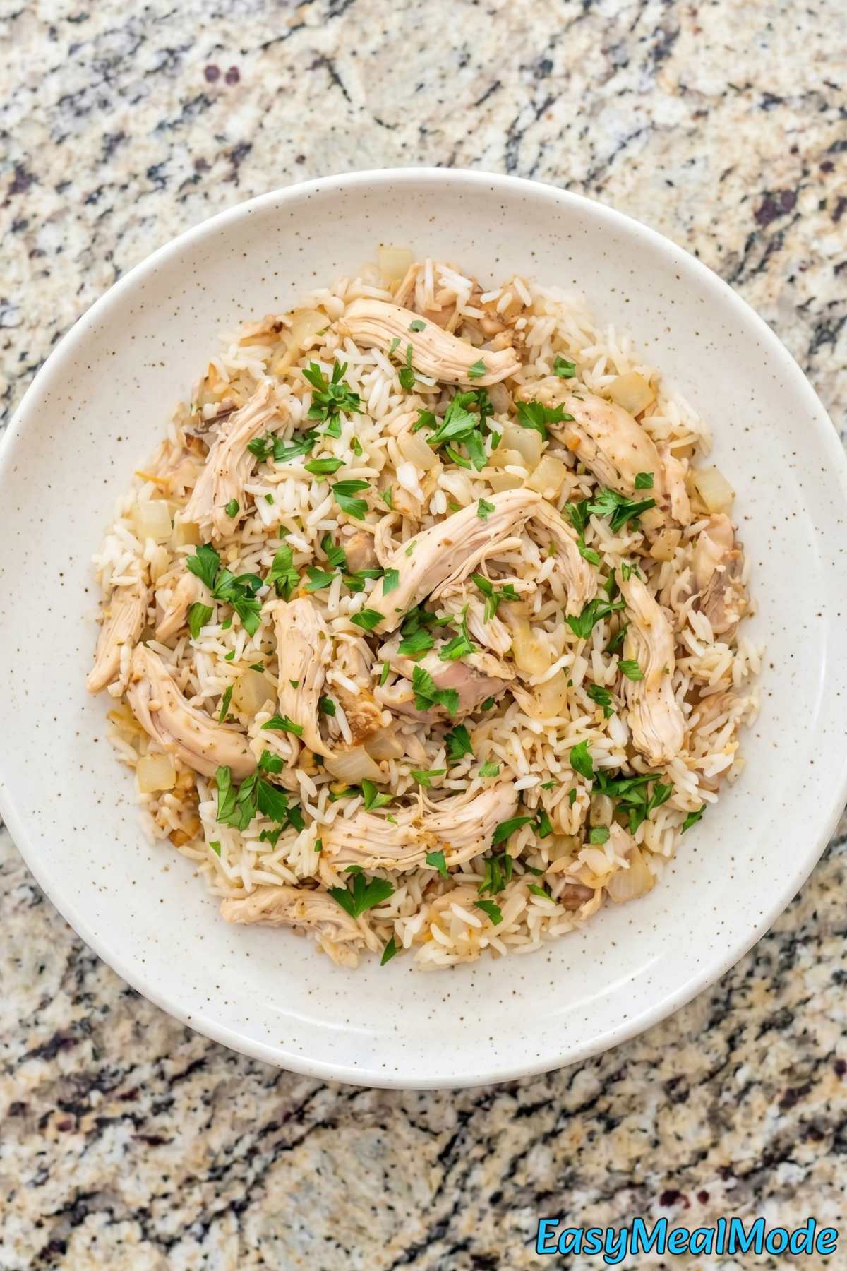 Comforting Instant Pot chicken and rice