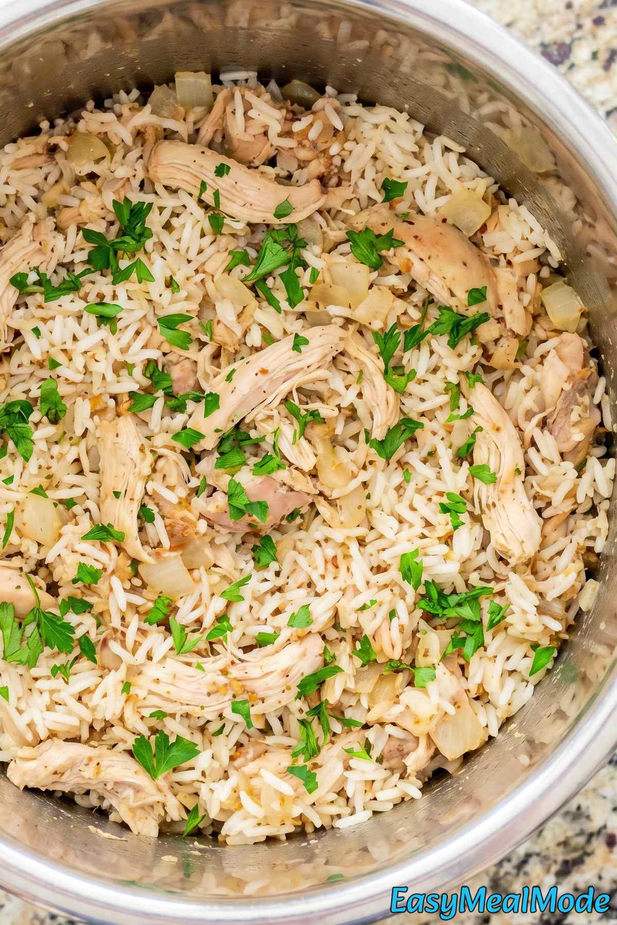 Flavorful Instant Pot chicken and rice