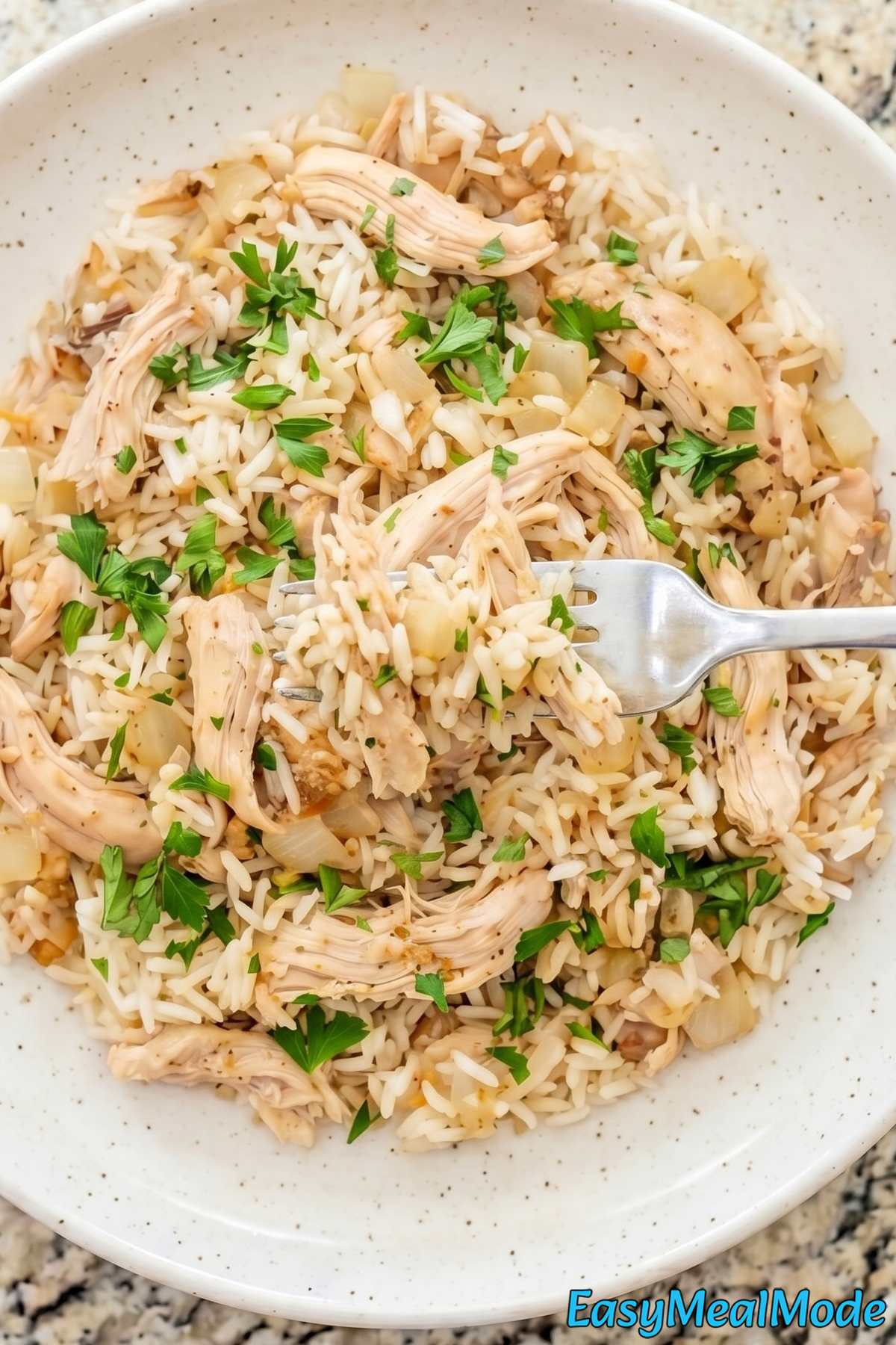 Savory Instant Pot chicken and rice plated