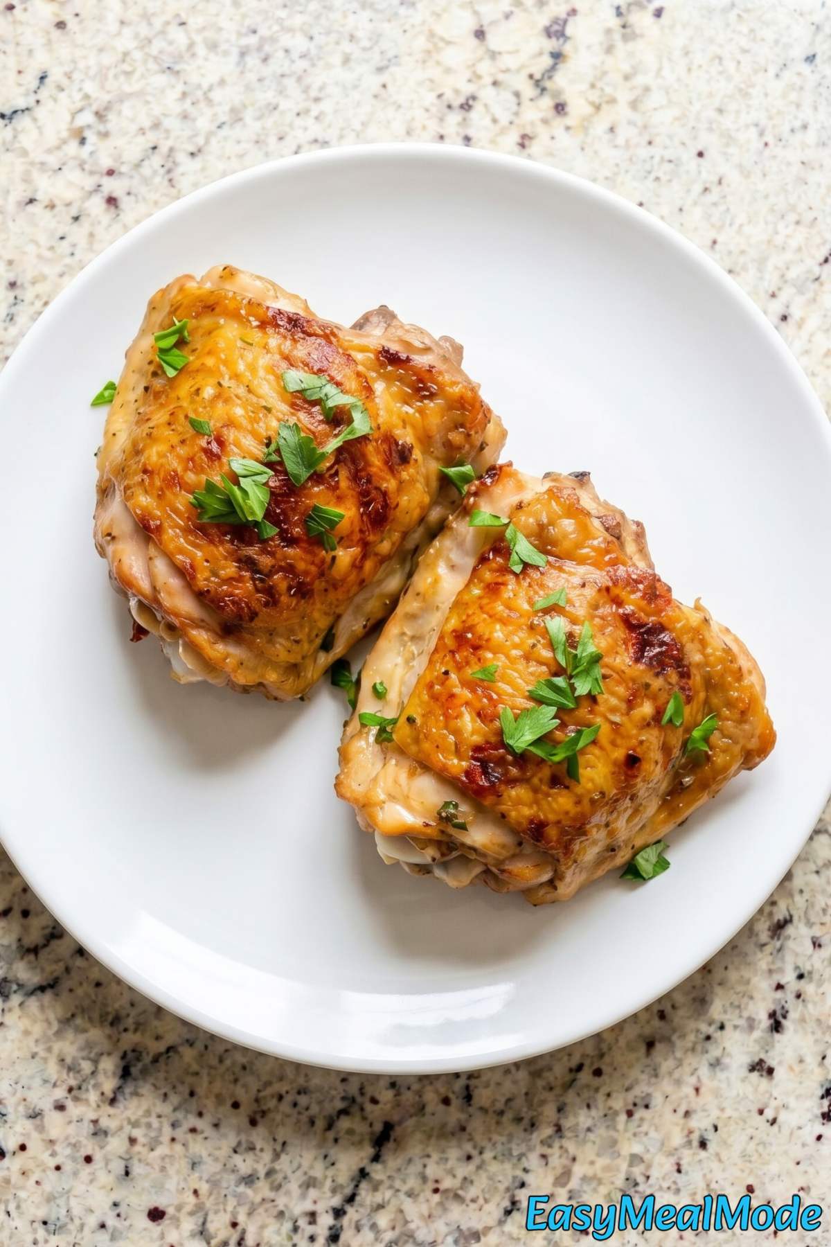 Easy Instant Pot chicken thighs golden brown