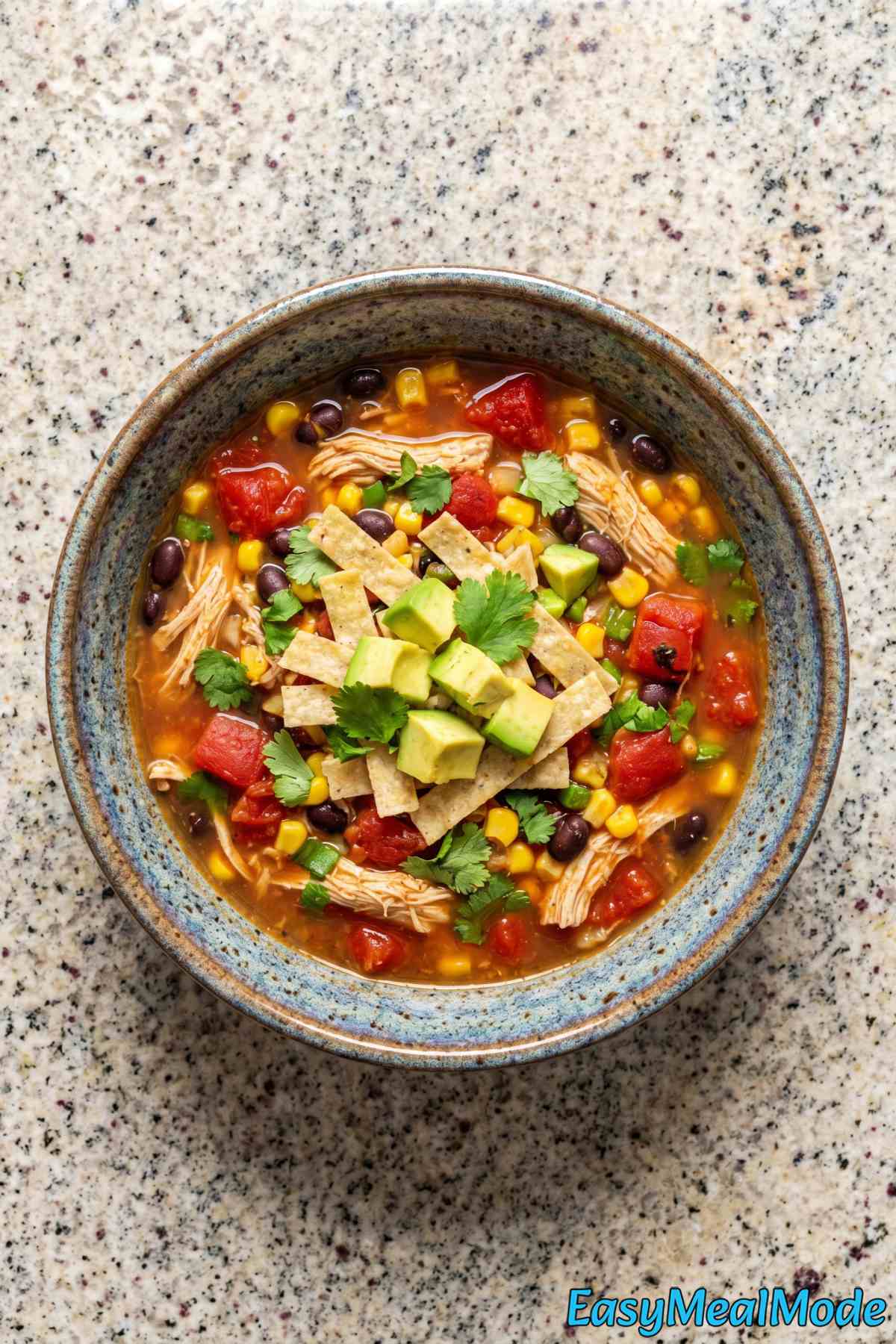 Savory Instant Pot Chicken Tortilla Soup