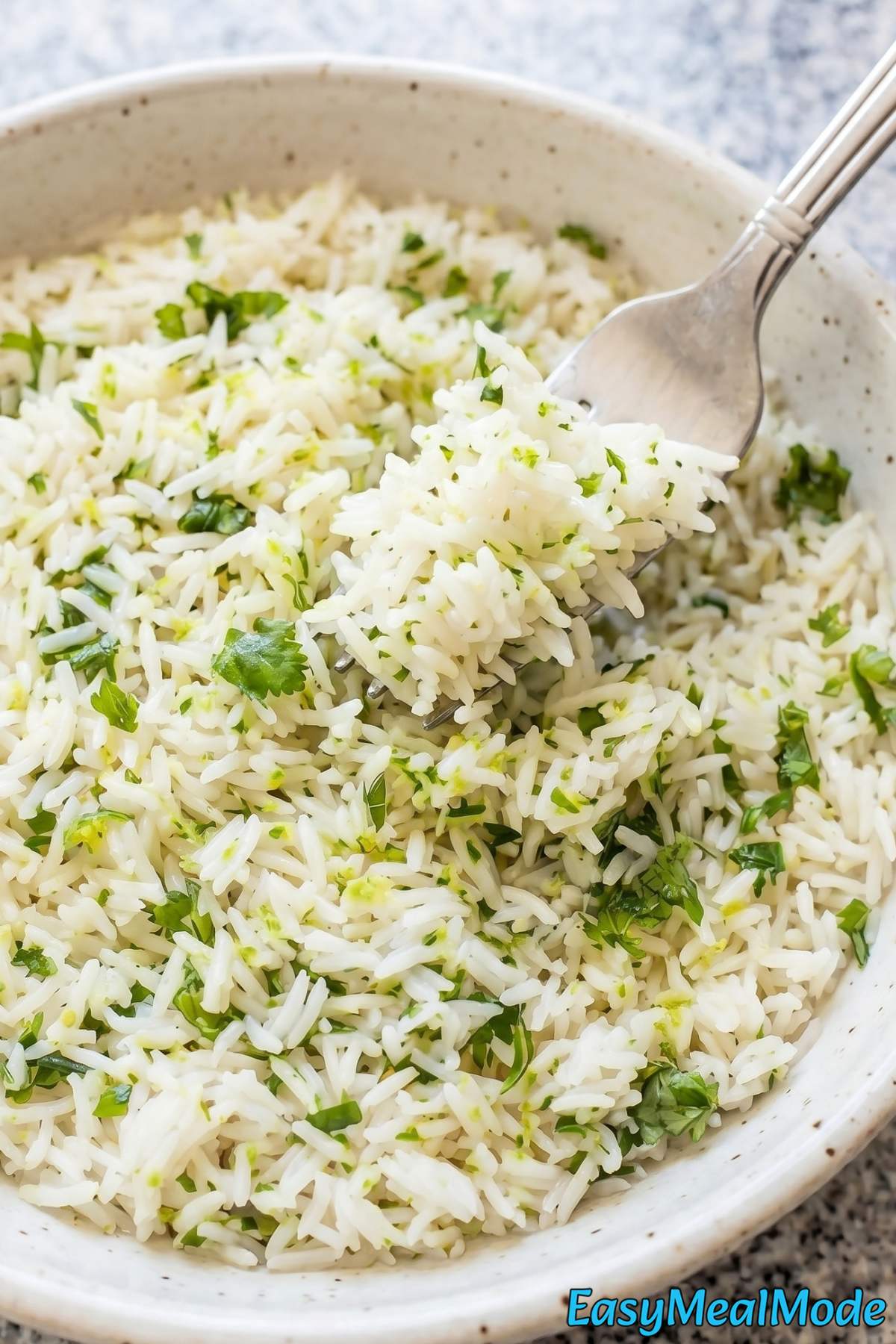 Zesty Instant Pot cilantro lime rice
