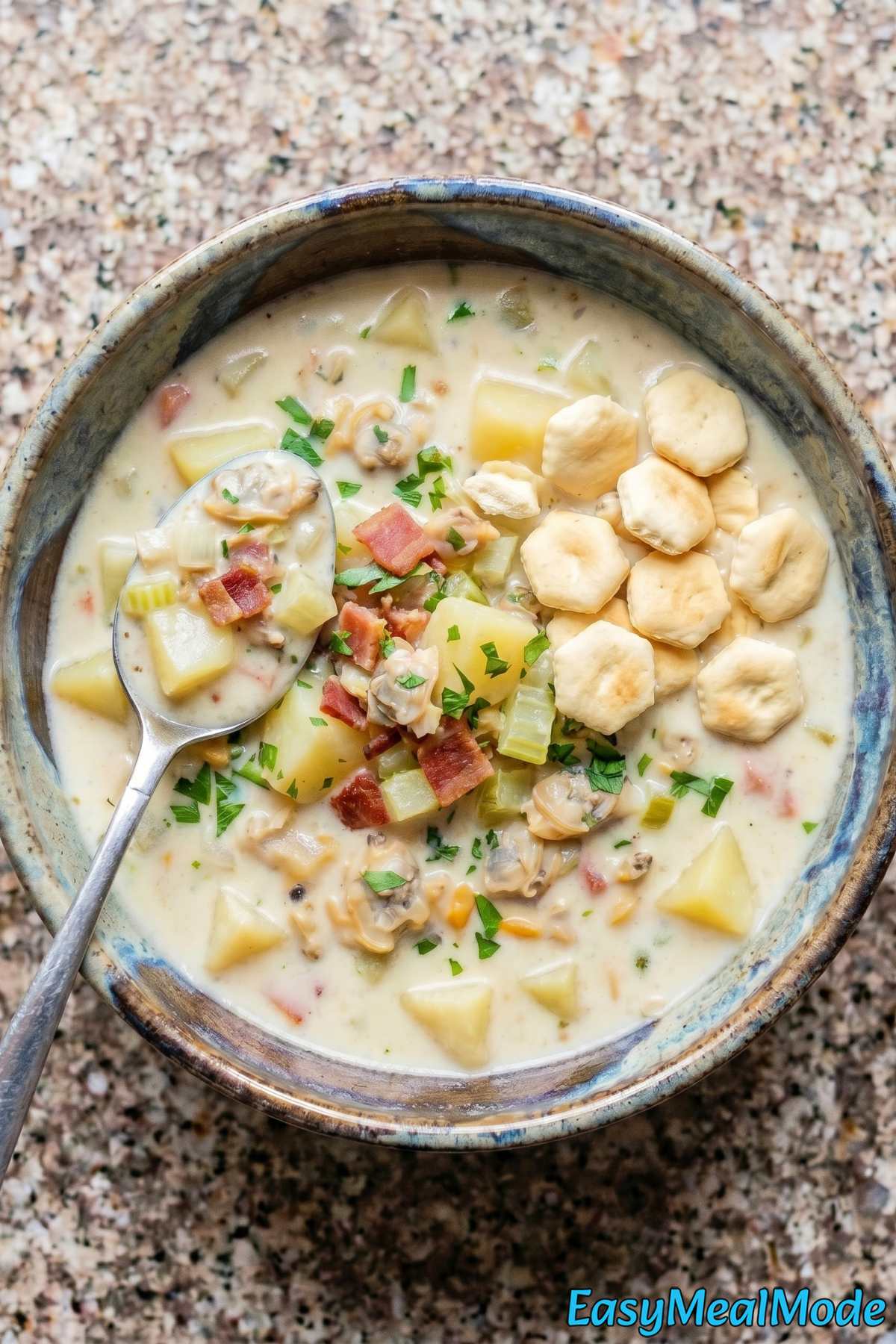 Hearty Instant Pot clam chowder close-up