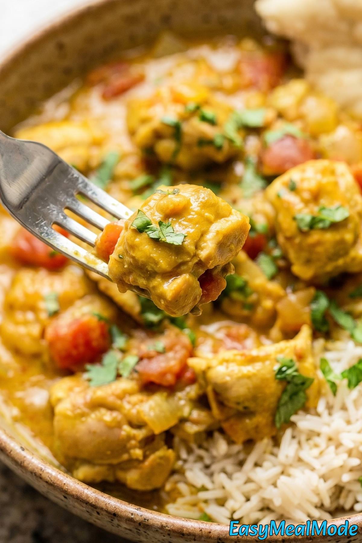 Tender Instant Pot coconut chicken curry