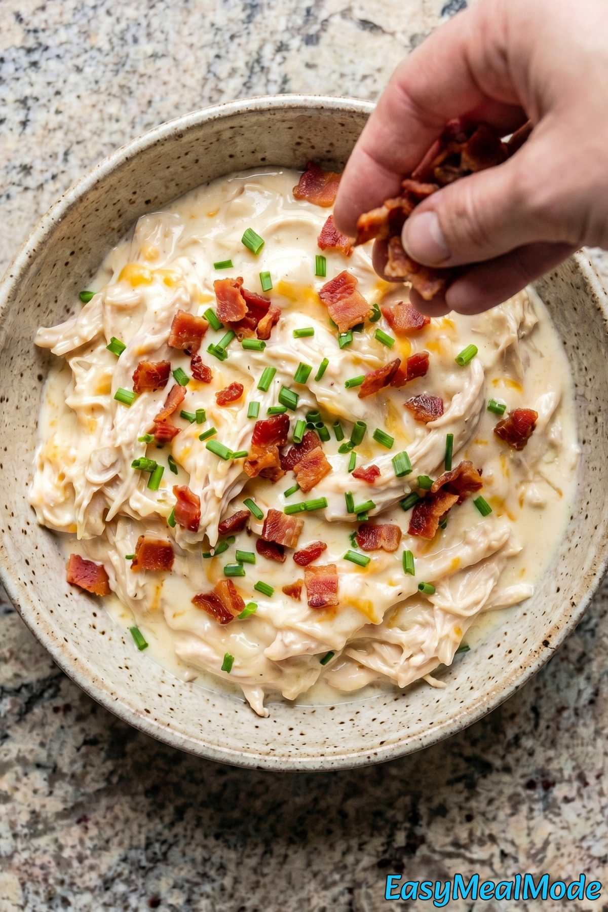 Tender Instant Pot Cream Cheese Chicken