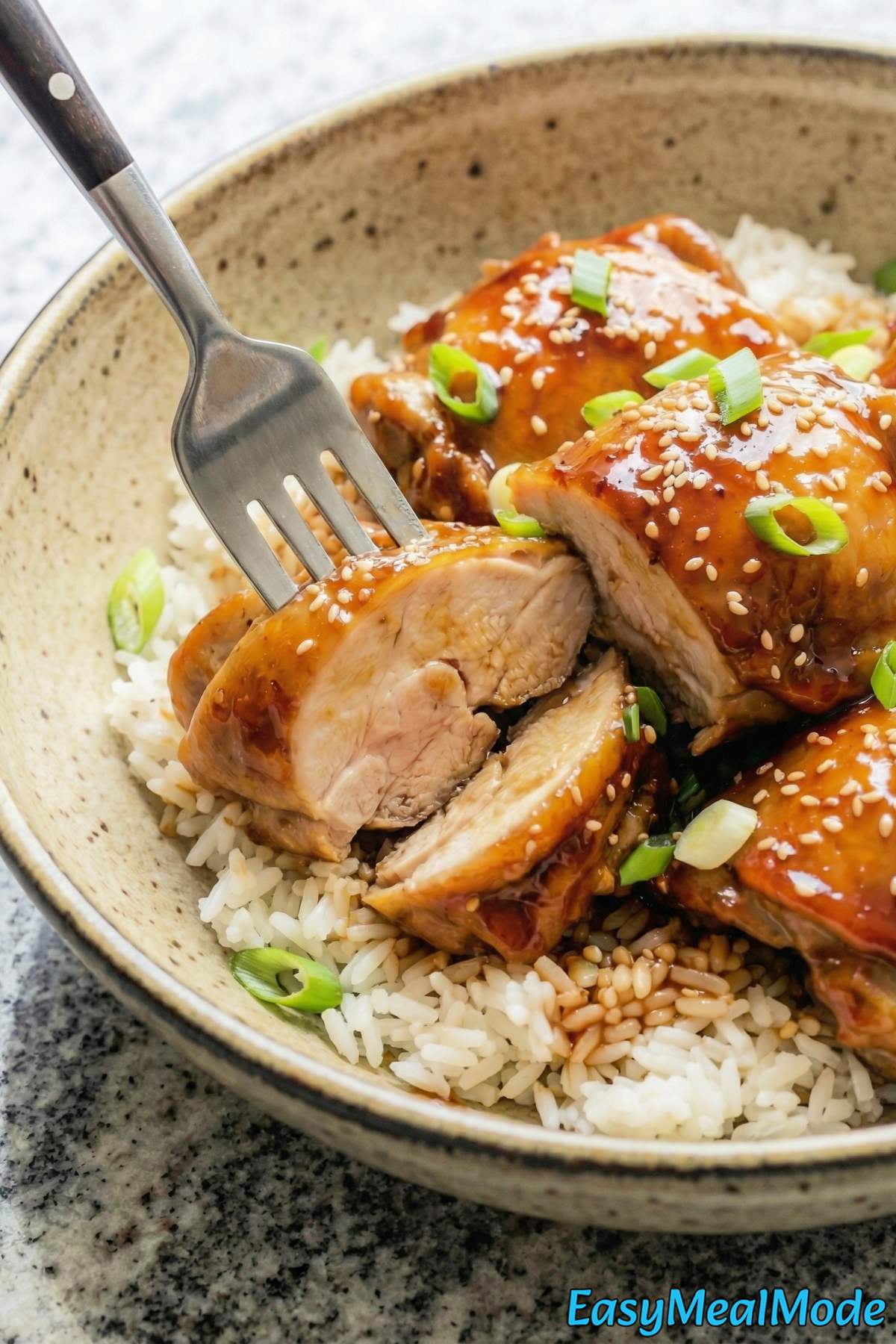 Easy Instant Pot honey garlic chicken
